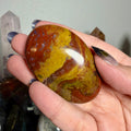 Ocean Jasper Palm 12E