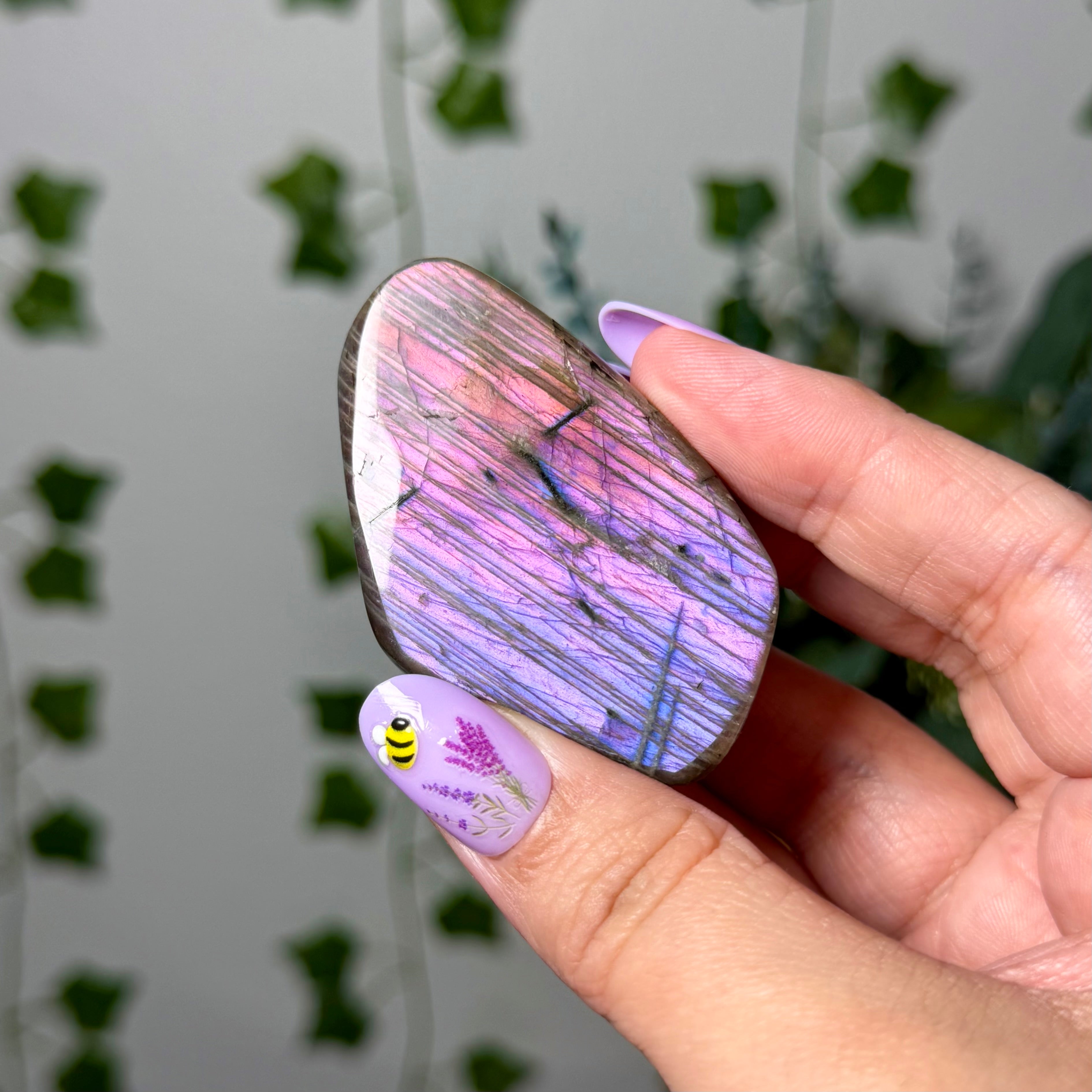 Pink Purple Labradorite 12D