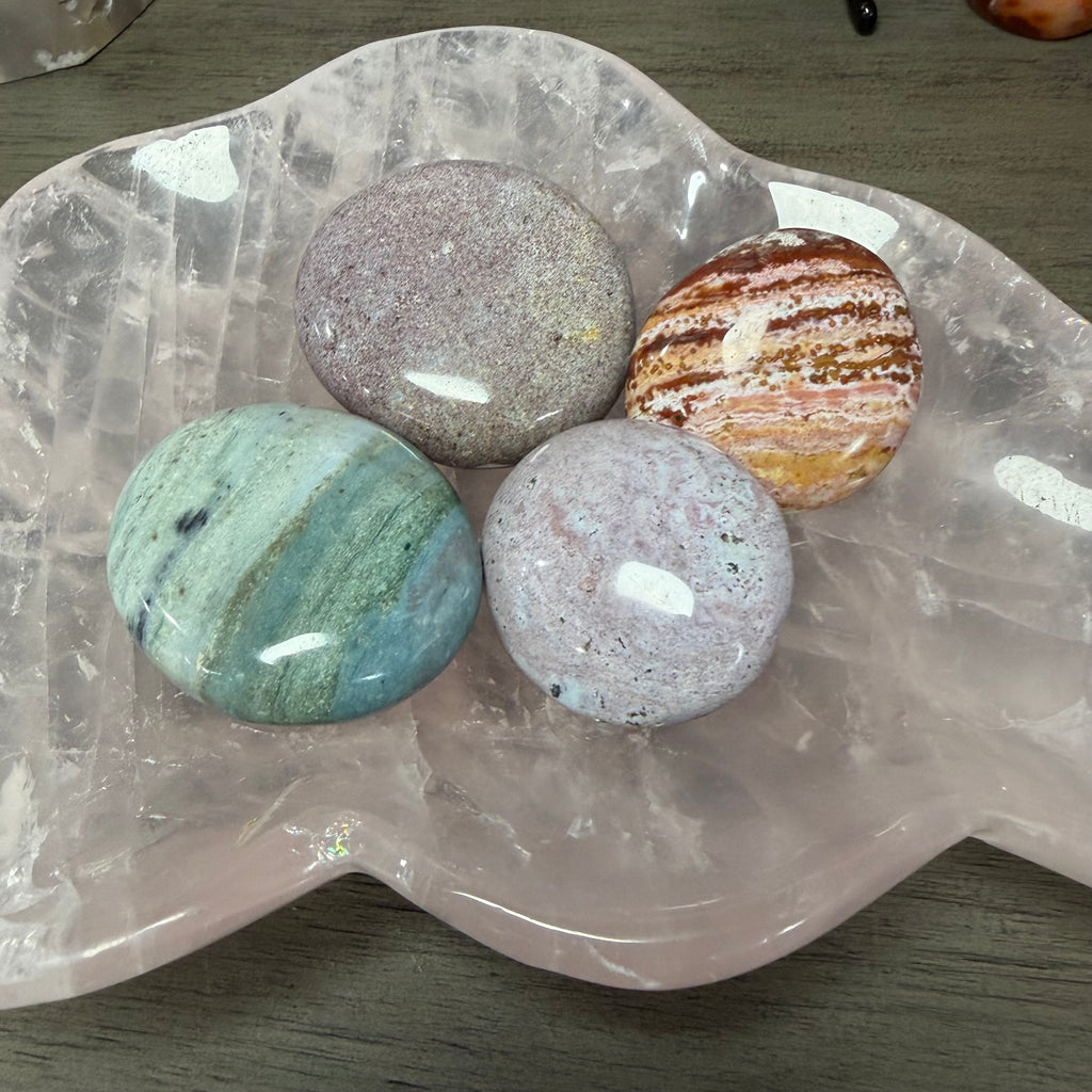 Ocean Jasper Palm - You Choose!