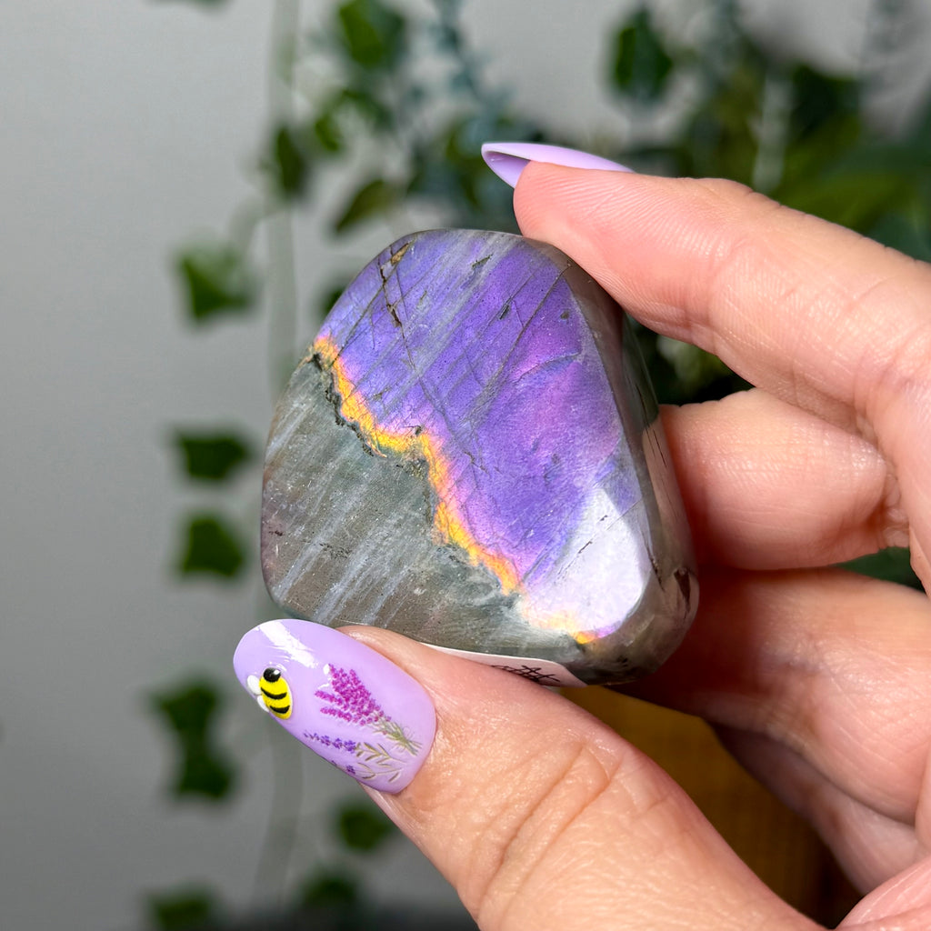 Dual Flash Labradorite 10E