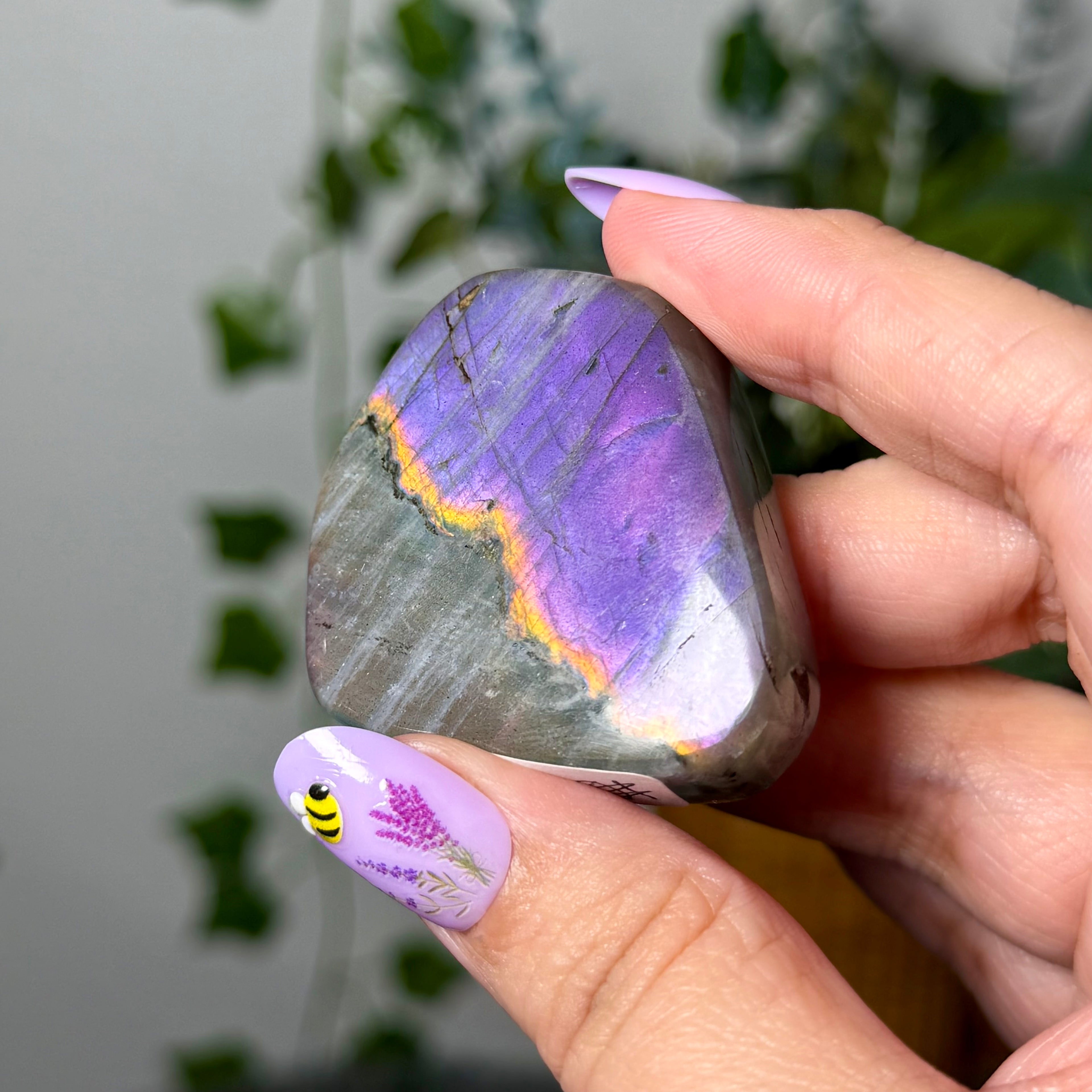 Dual Flash Labradorite 10E