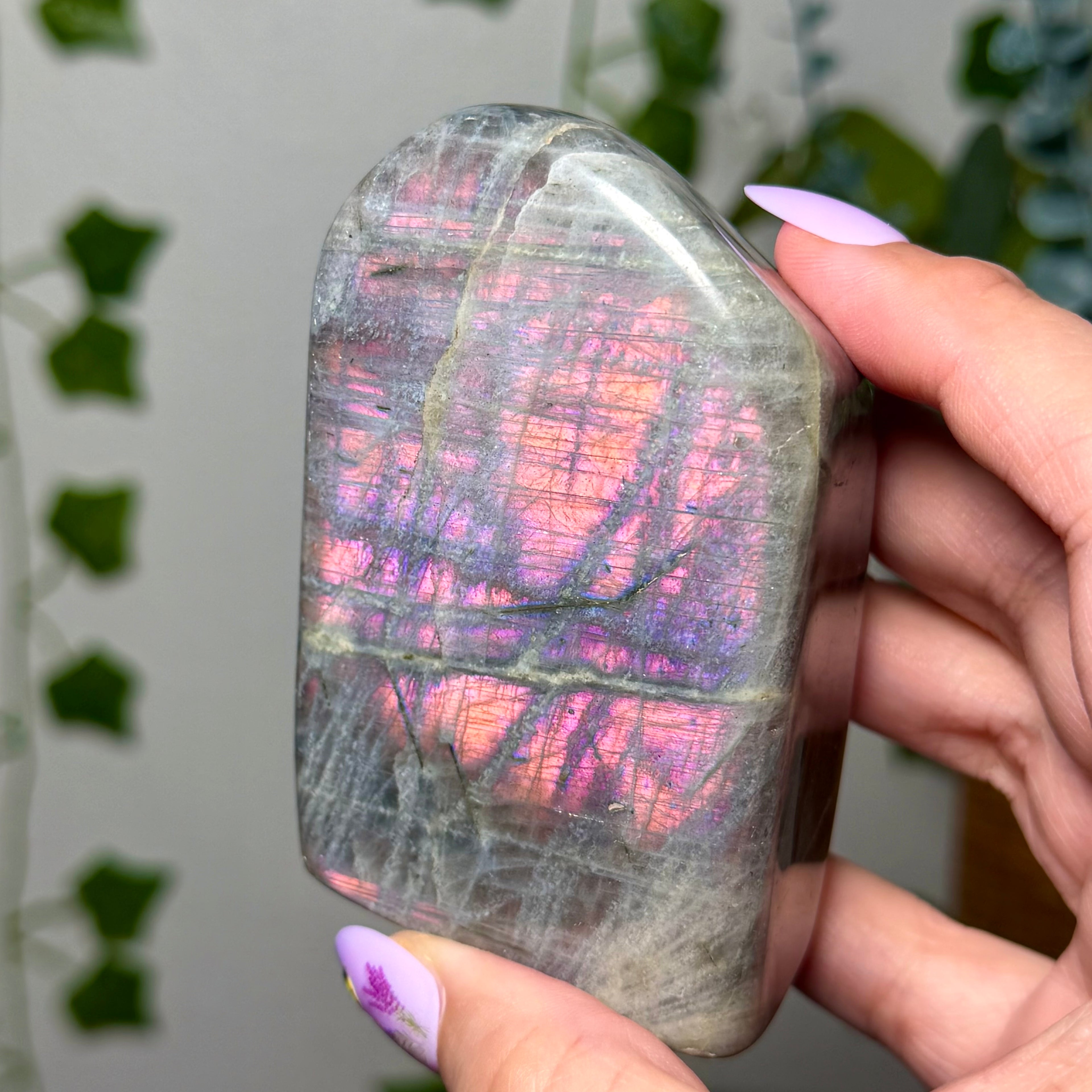 Pink Labradorite Freeform 40