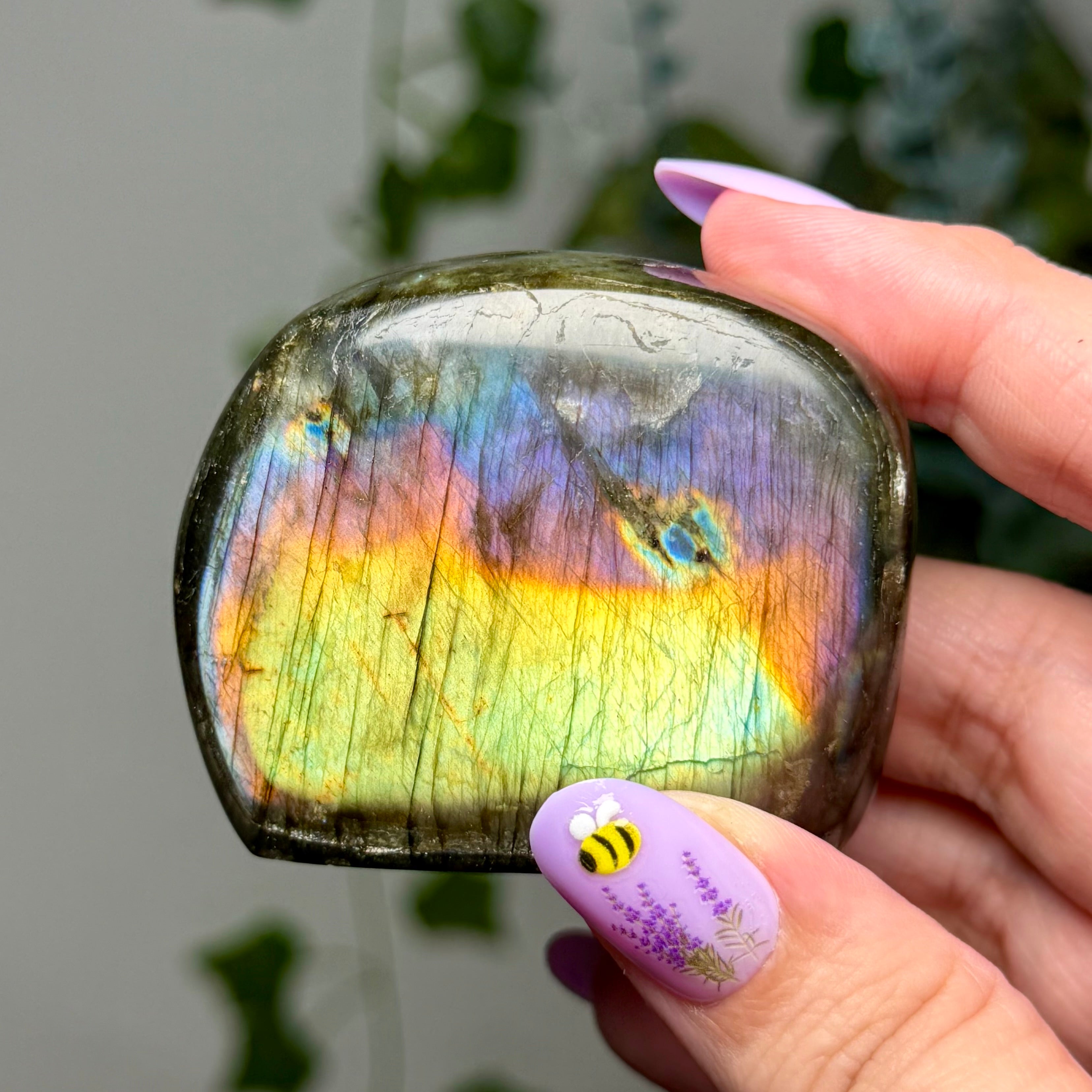 Rainbow Labradorite Freeform 25