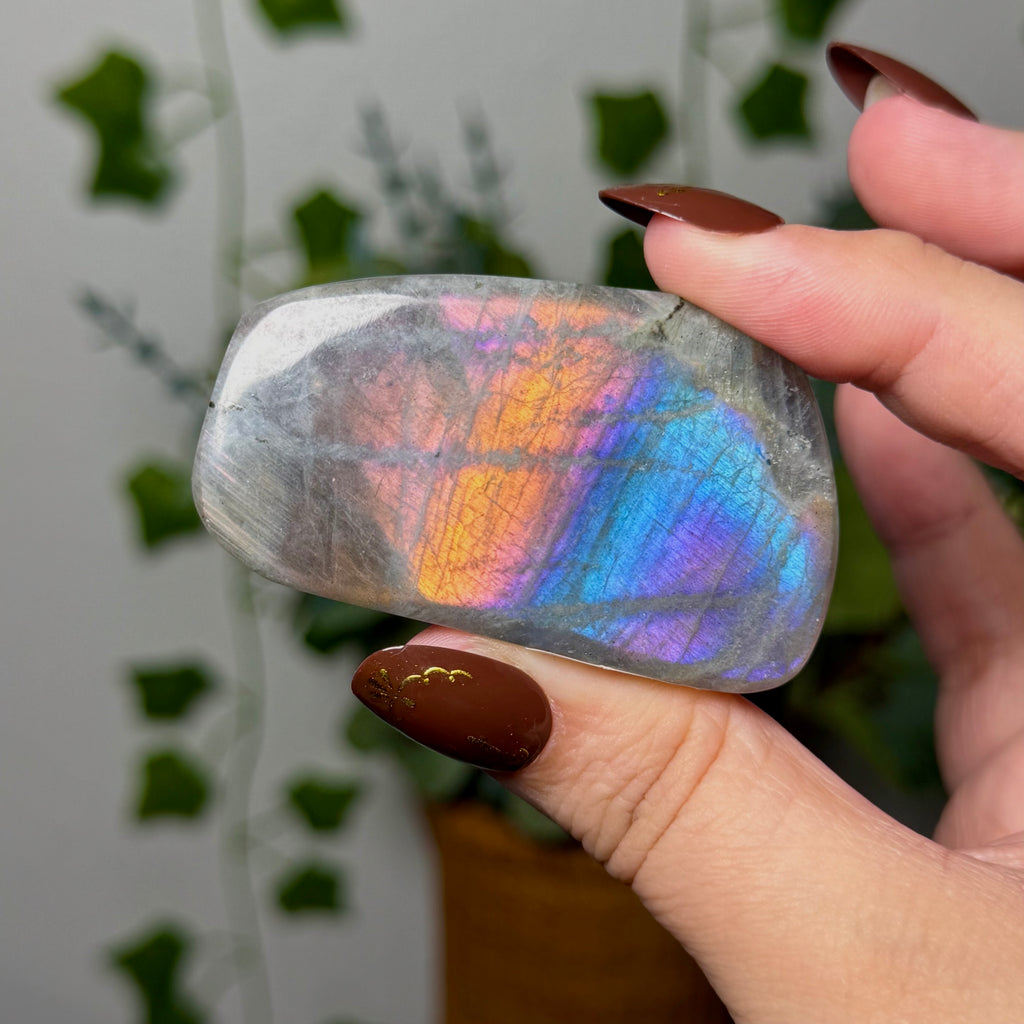 Colorful Labradorite 12M