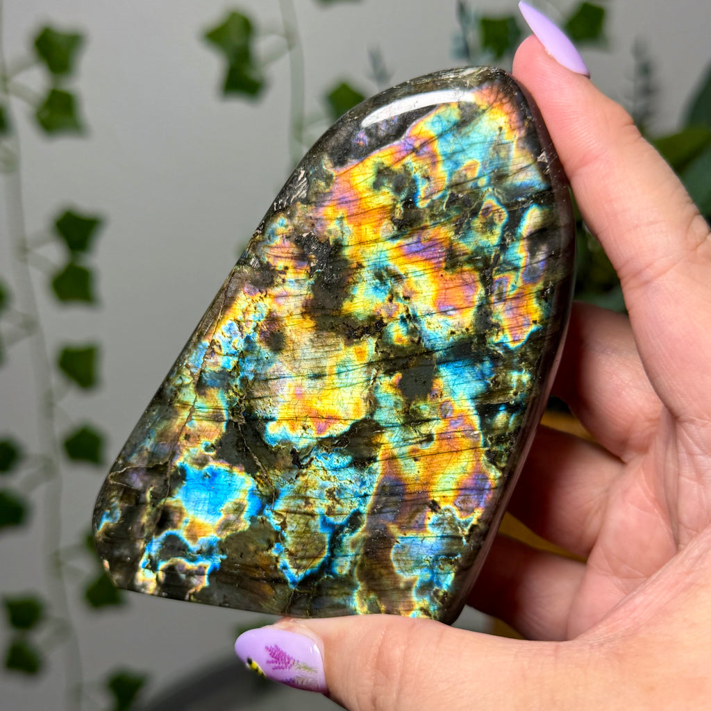Rainbow Colors Labradorite Freeform 60B