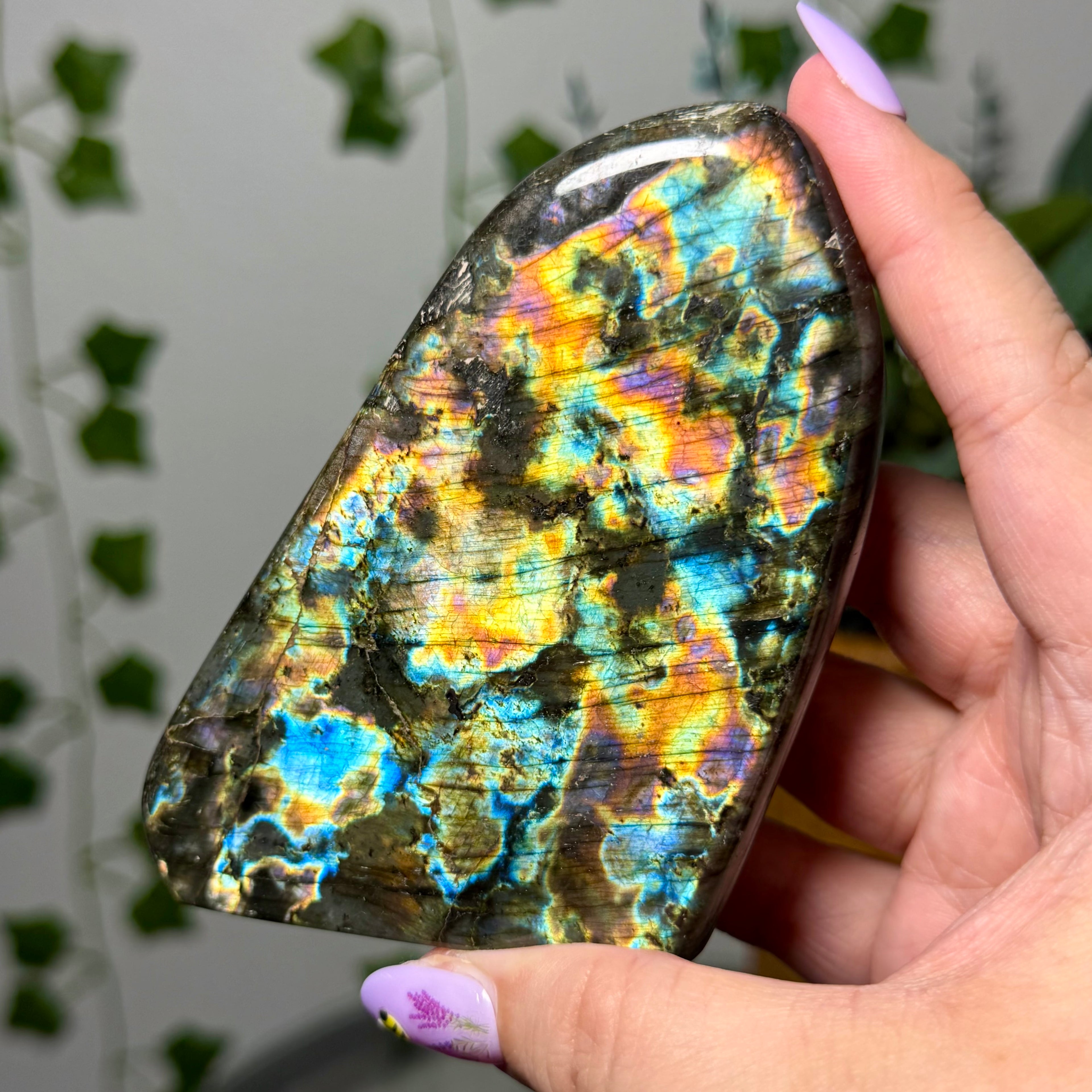 Rainbow Colors Labradorite Freeform 60B