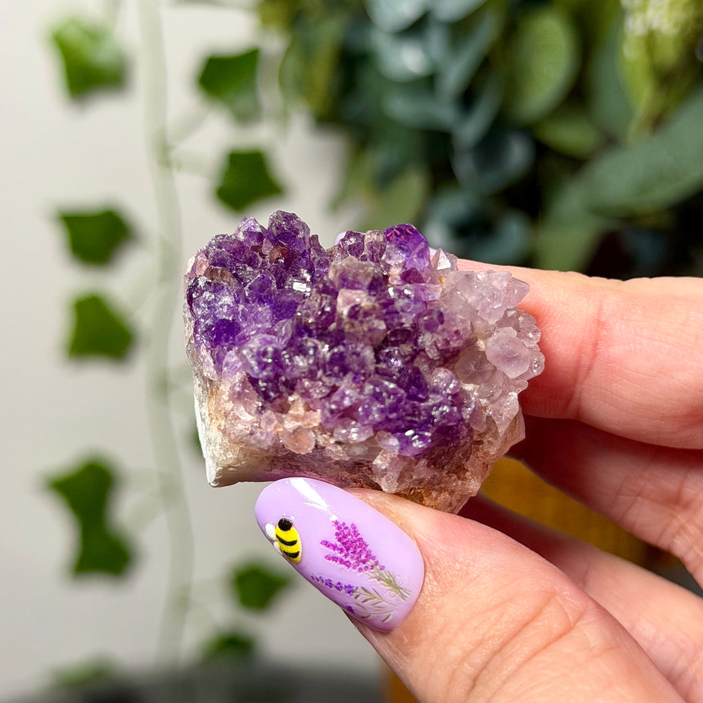 You Choose-Small Pink Amethyst Clusters