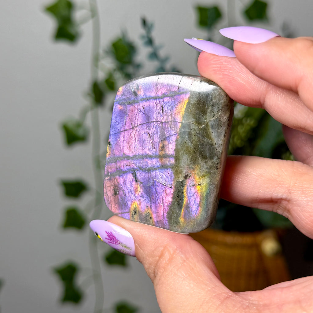 Pink Labradorite 10C
