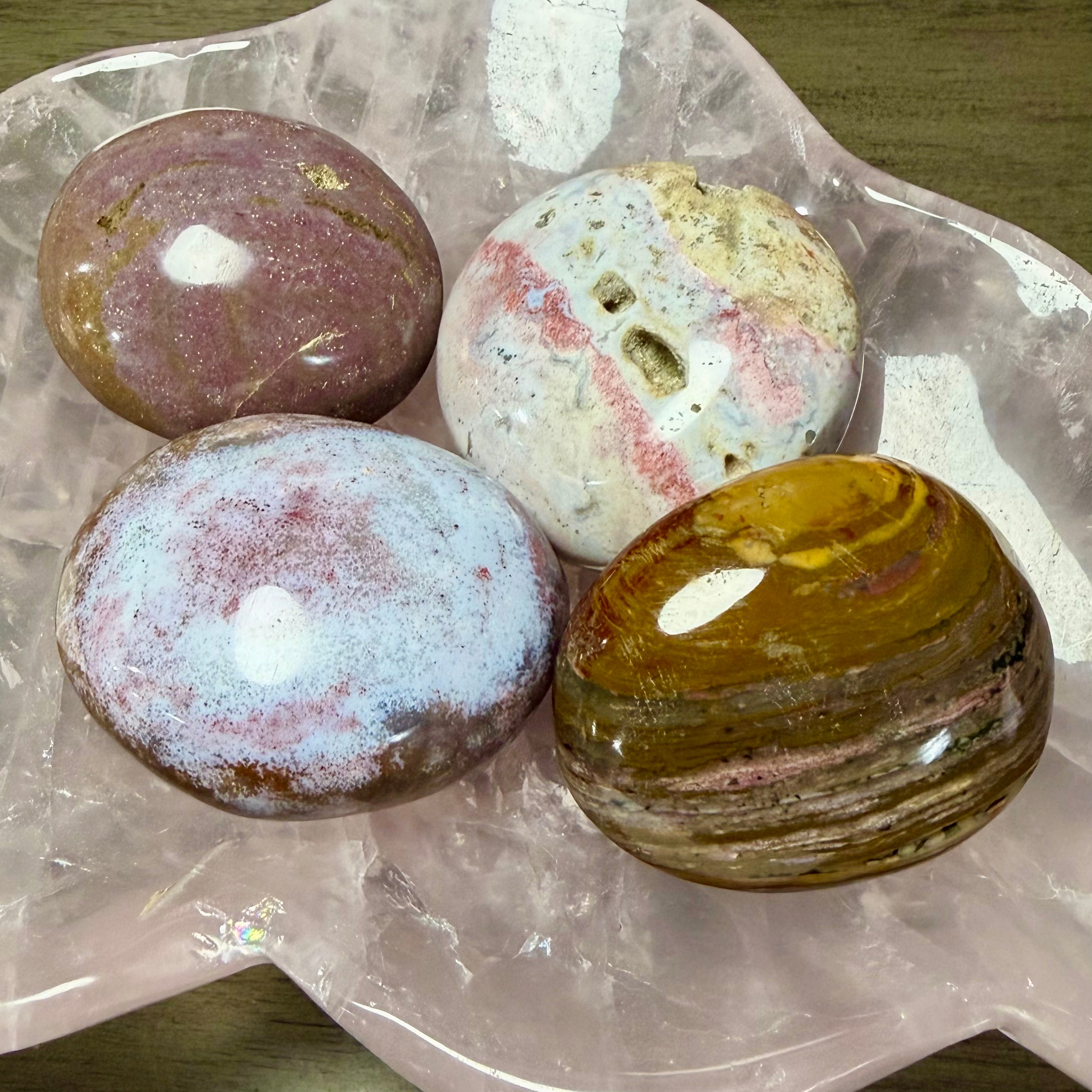 Ocean Jasper Palms - You Choose!