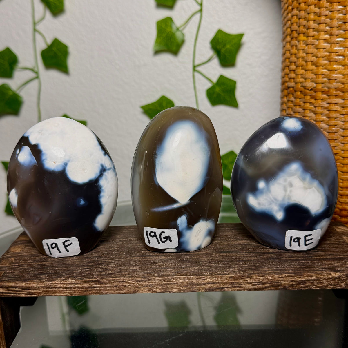 You Choose-Orca Agate Freeforms