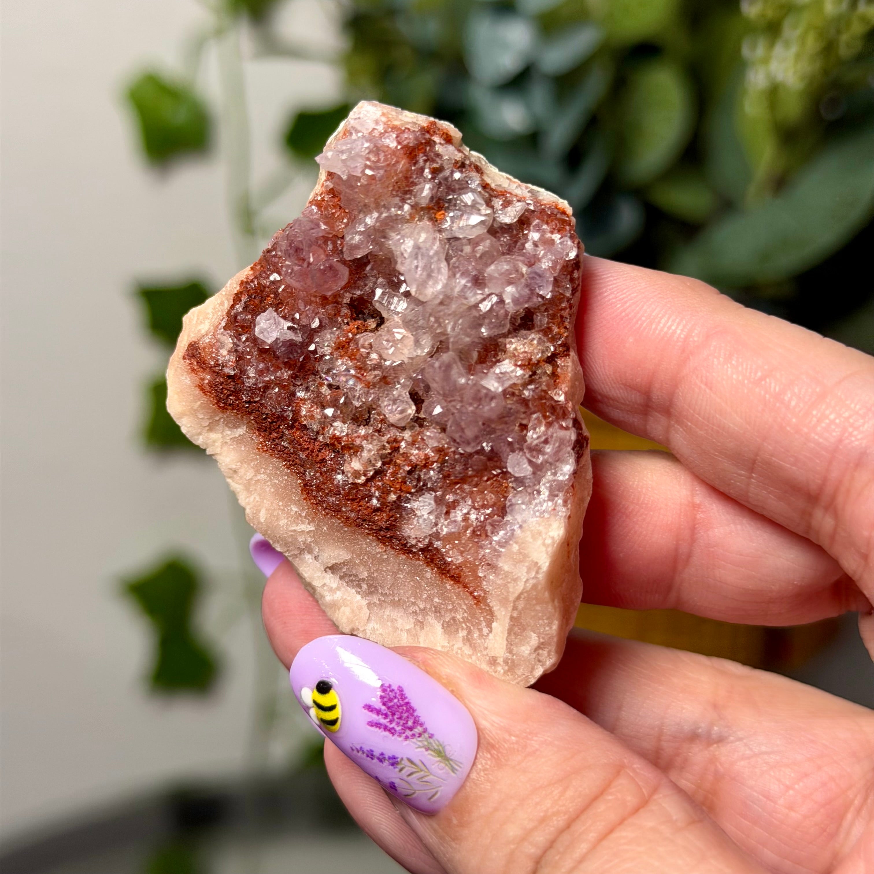 You Choose-Small Amethyst Clusters
