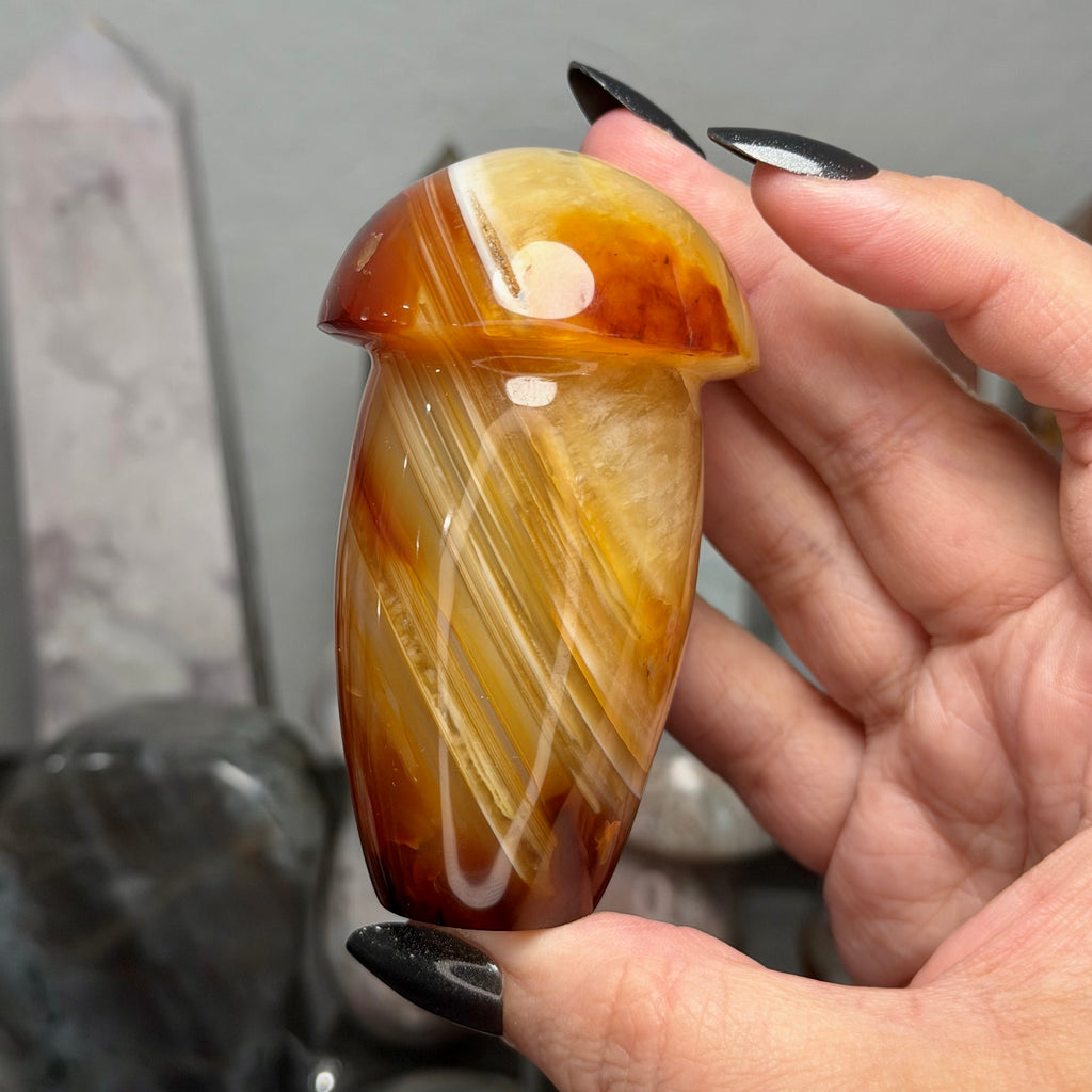 Carnelian Mushroom