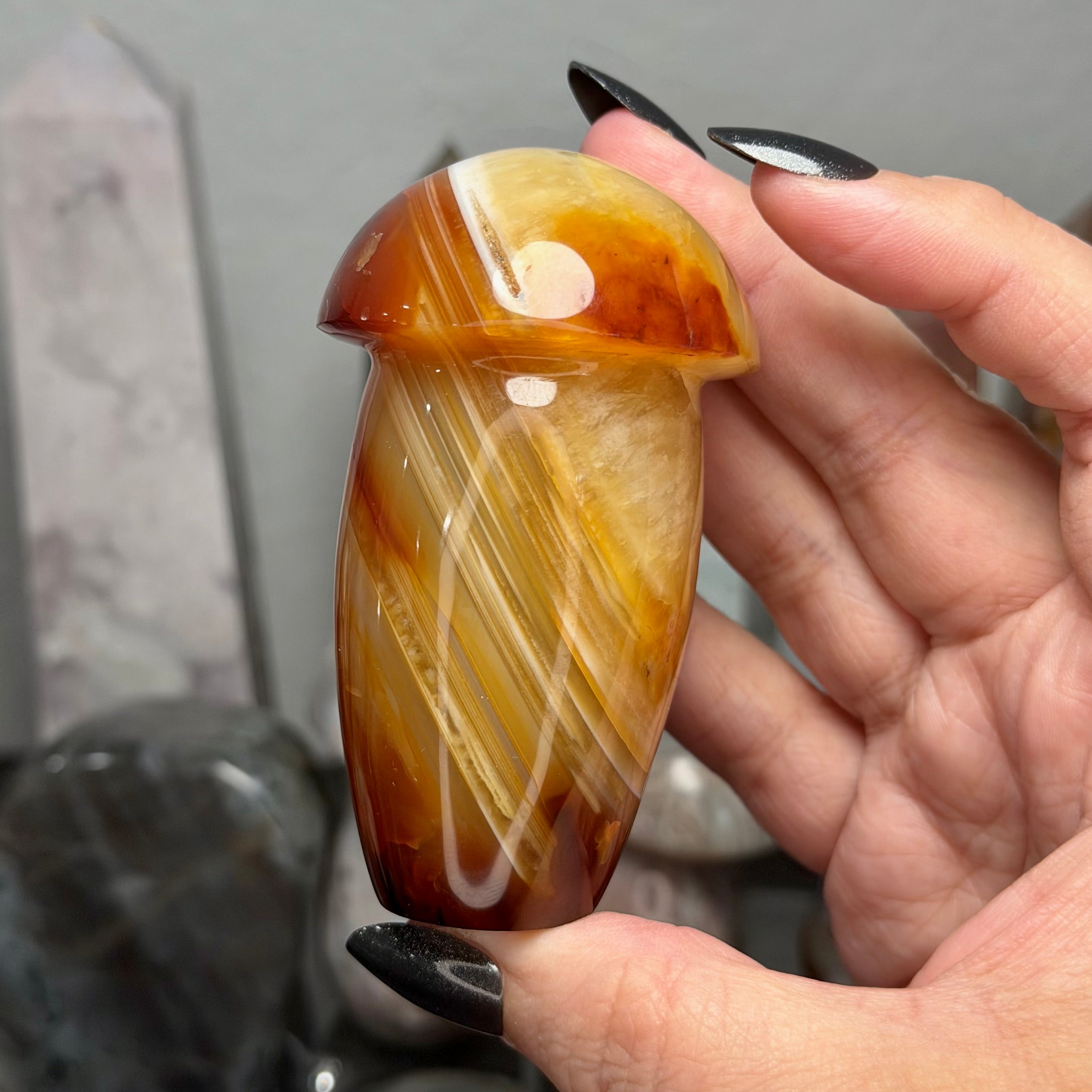 Carnelian Mushroom