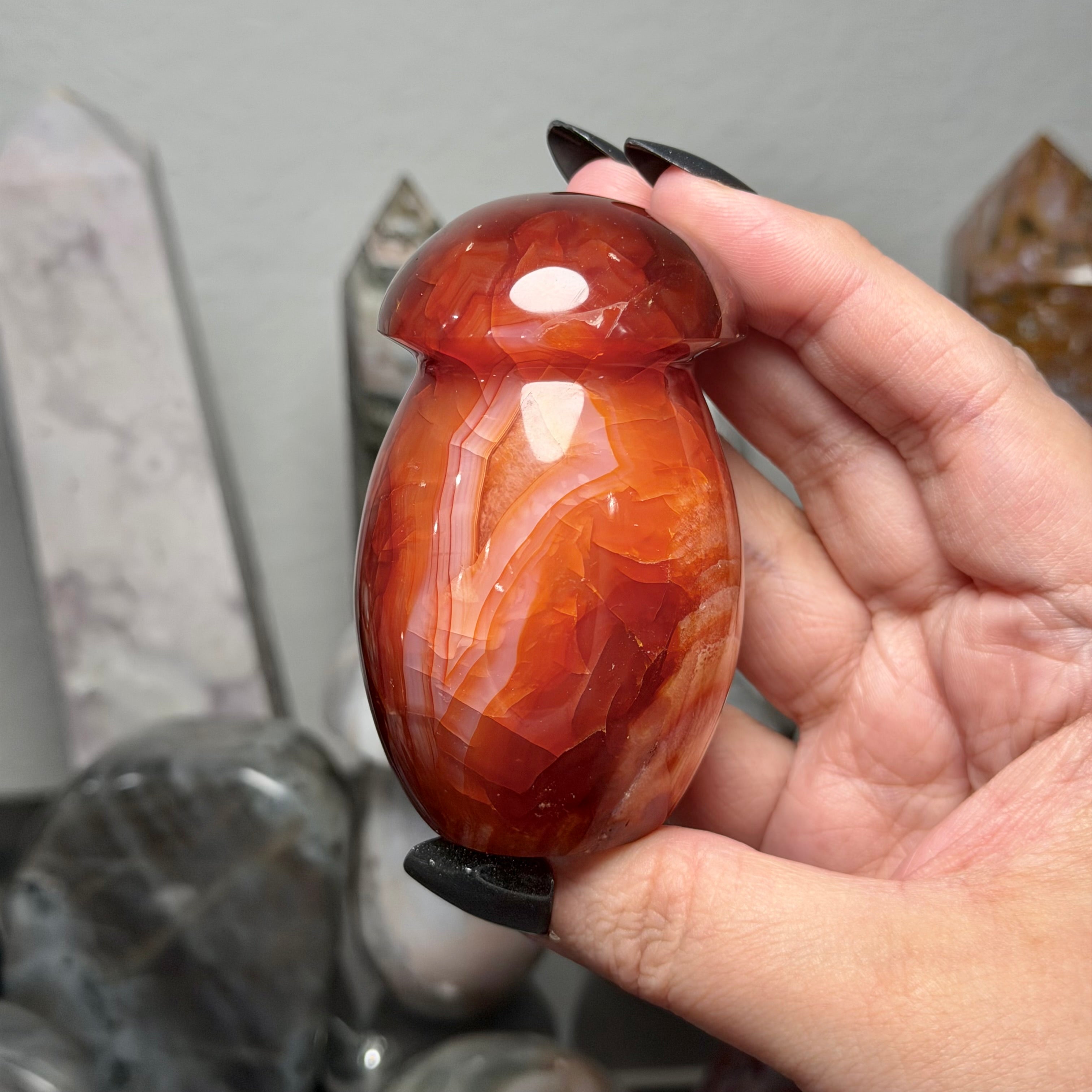 Carnelian Mushroom