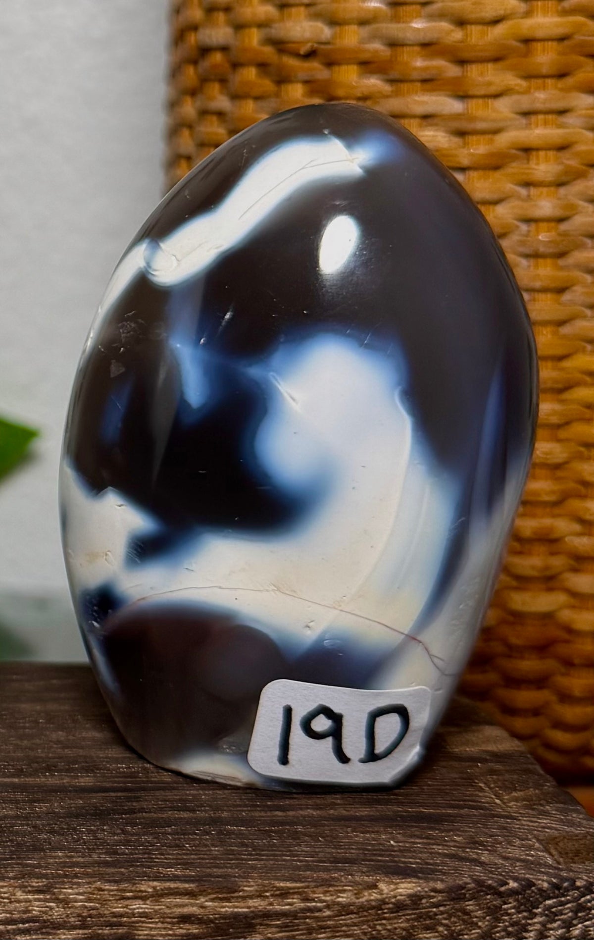 You Choose-Orca Agate Freeforms