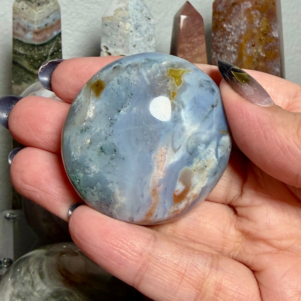 Ocean Jasper Palm 12A