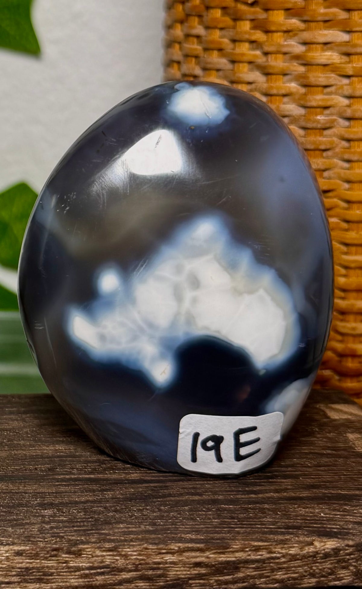 You Choose-Orca Agate Freeforms