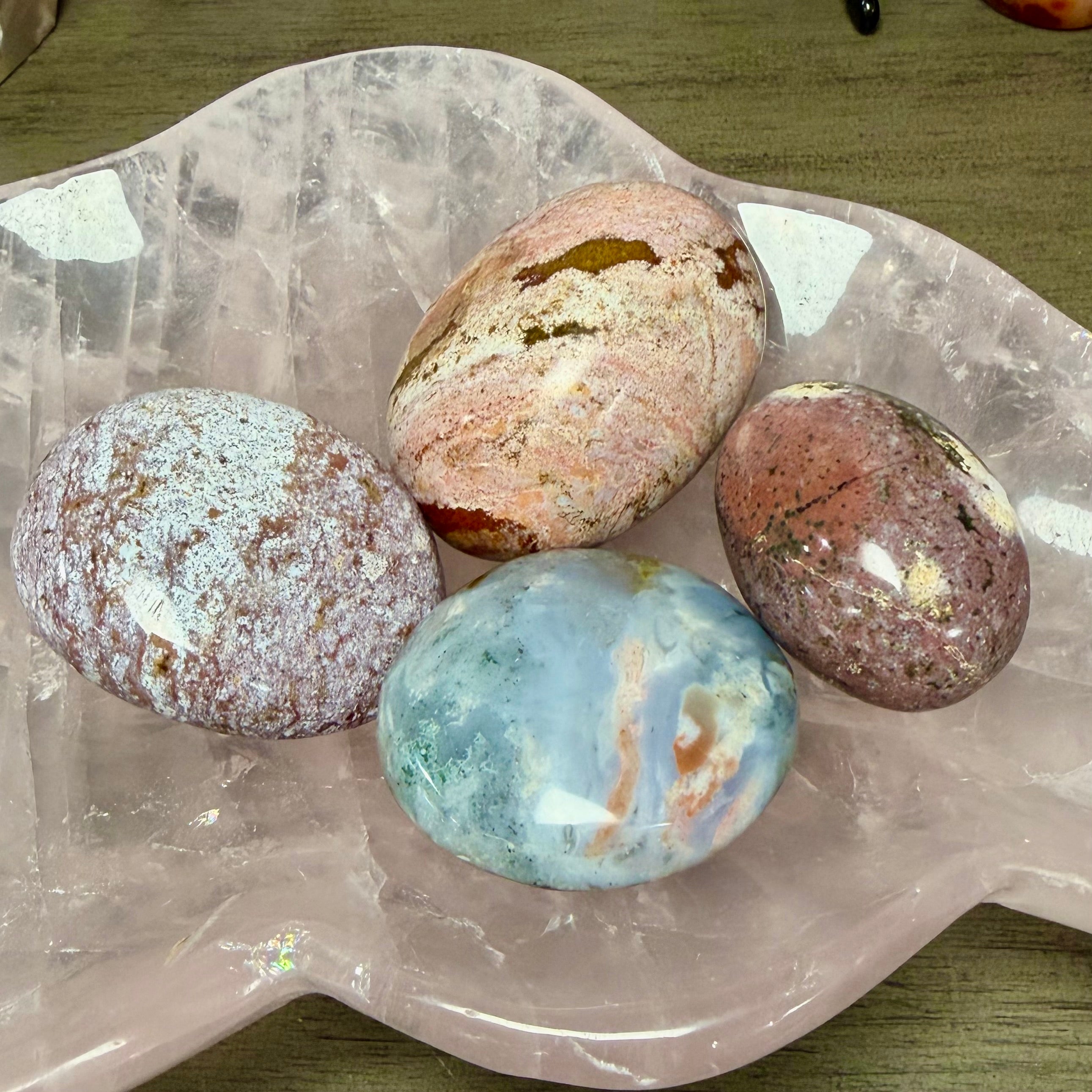 Ocean Jasper Palms - You Choose!