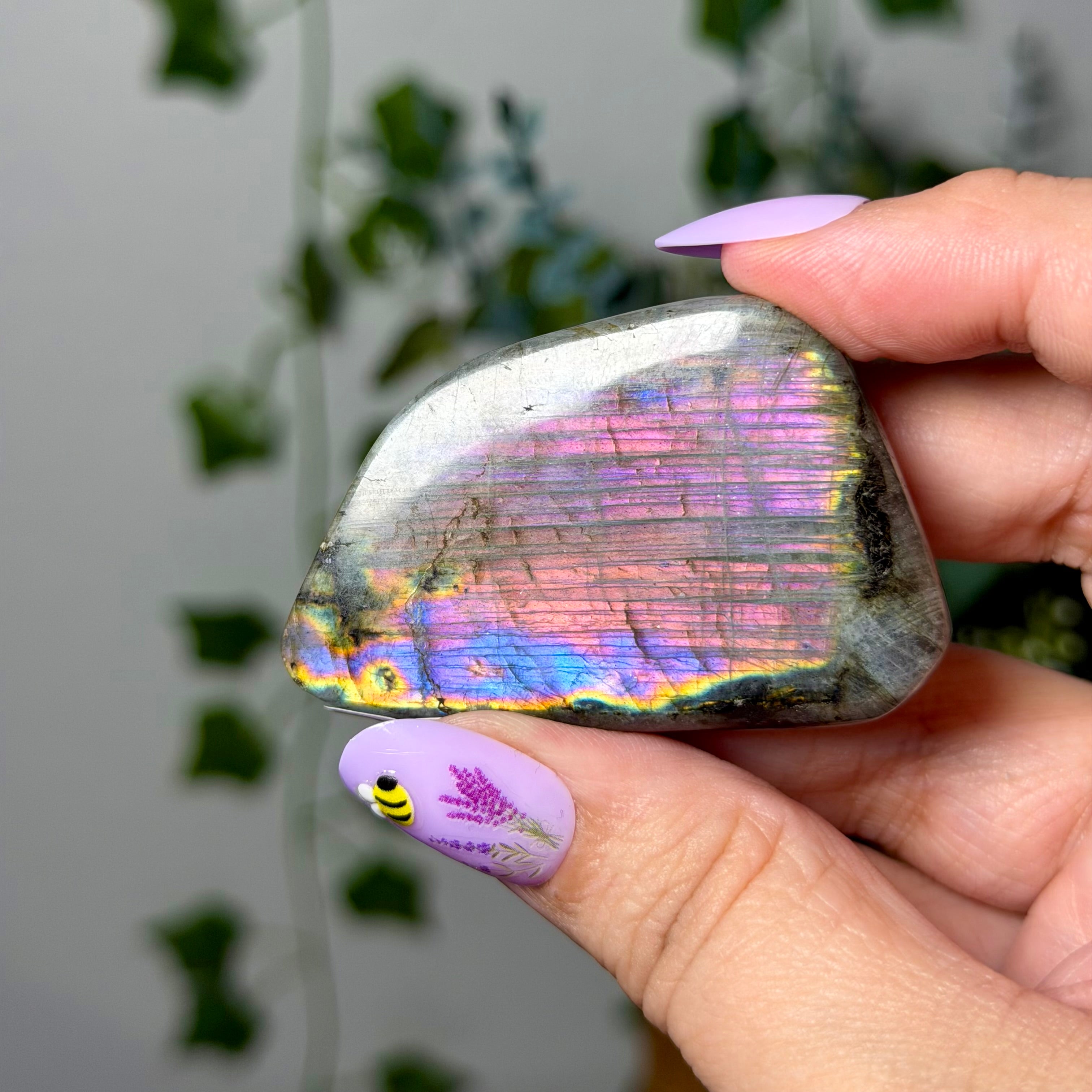 Pink Rainbow Labradorite 8C