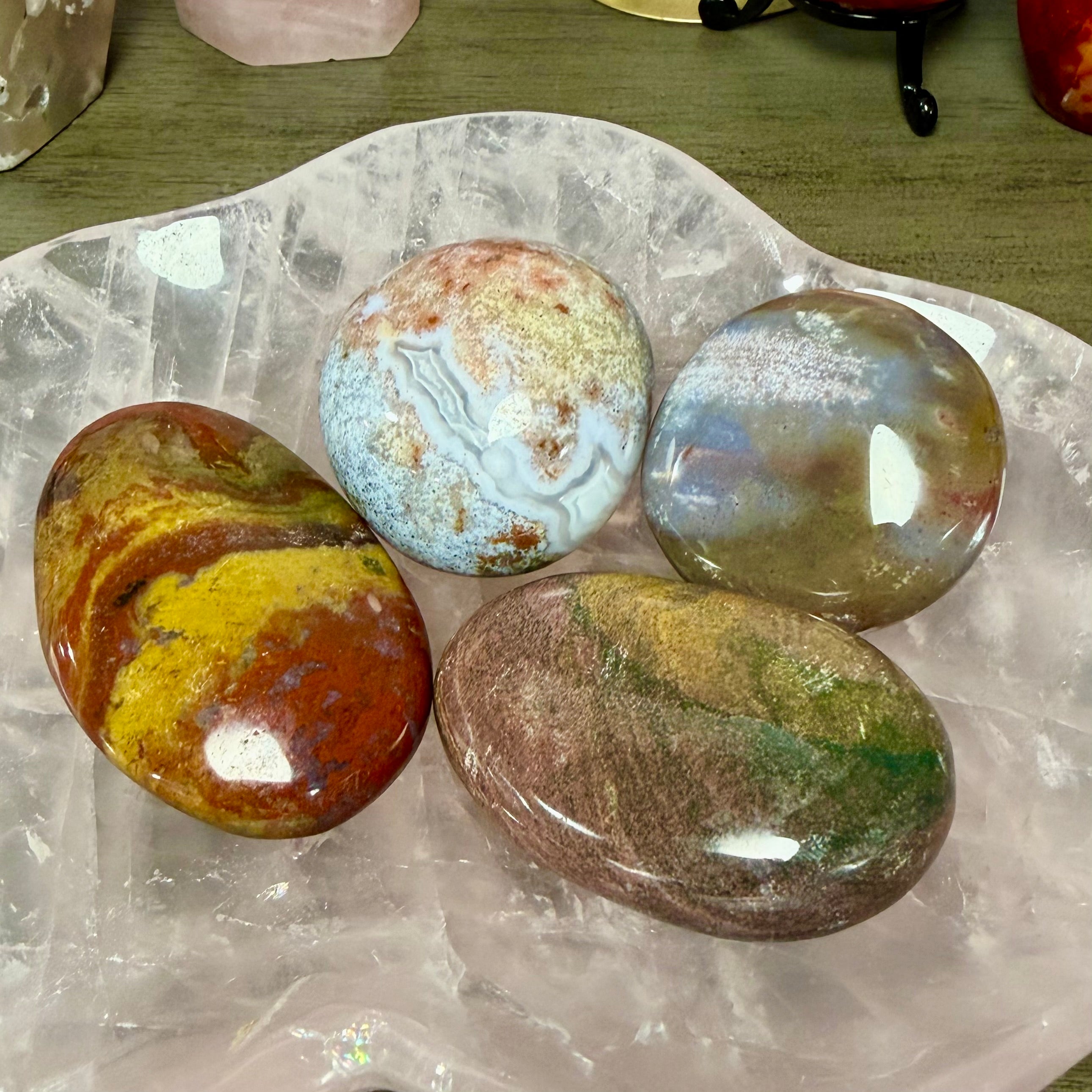 Ocean Jasper Palms - You Choose!