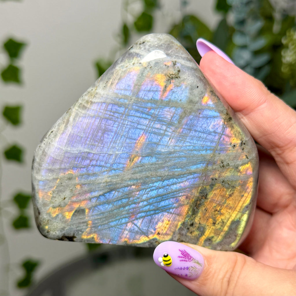 Blue Orange Labradorite 56B