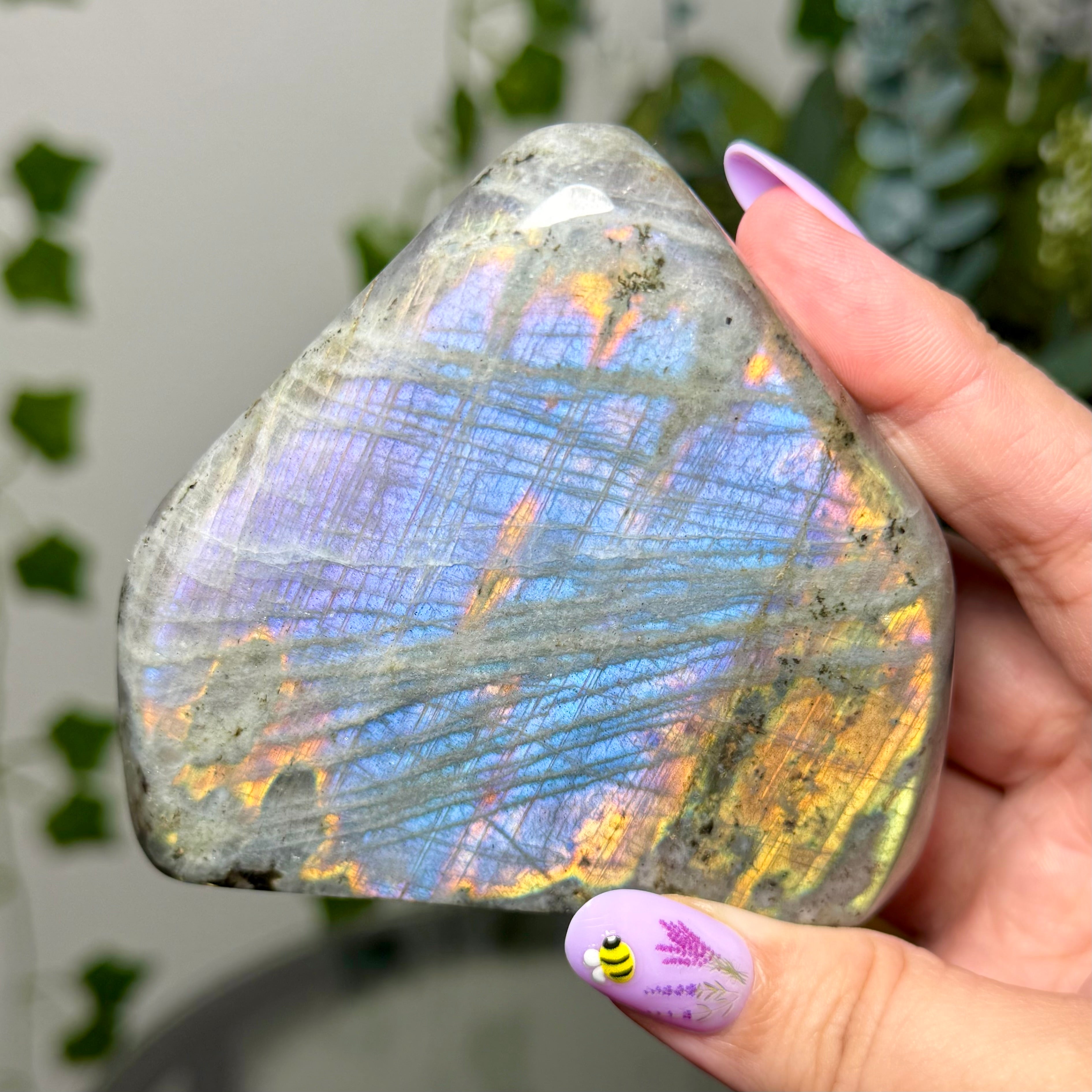 Blue Orange Labradorite 56B