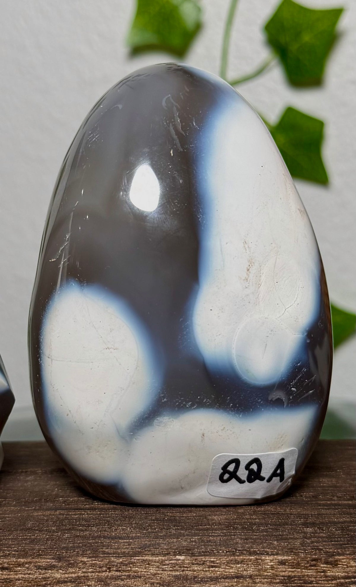 You Choose-Orca Agate Freeforms