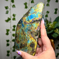 Large multi color Labradorite Freeform 70