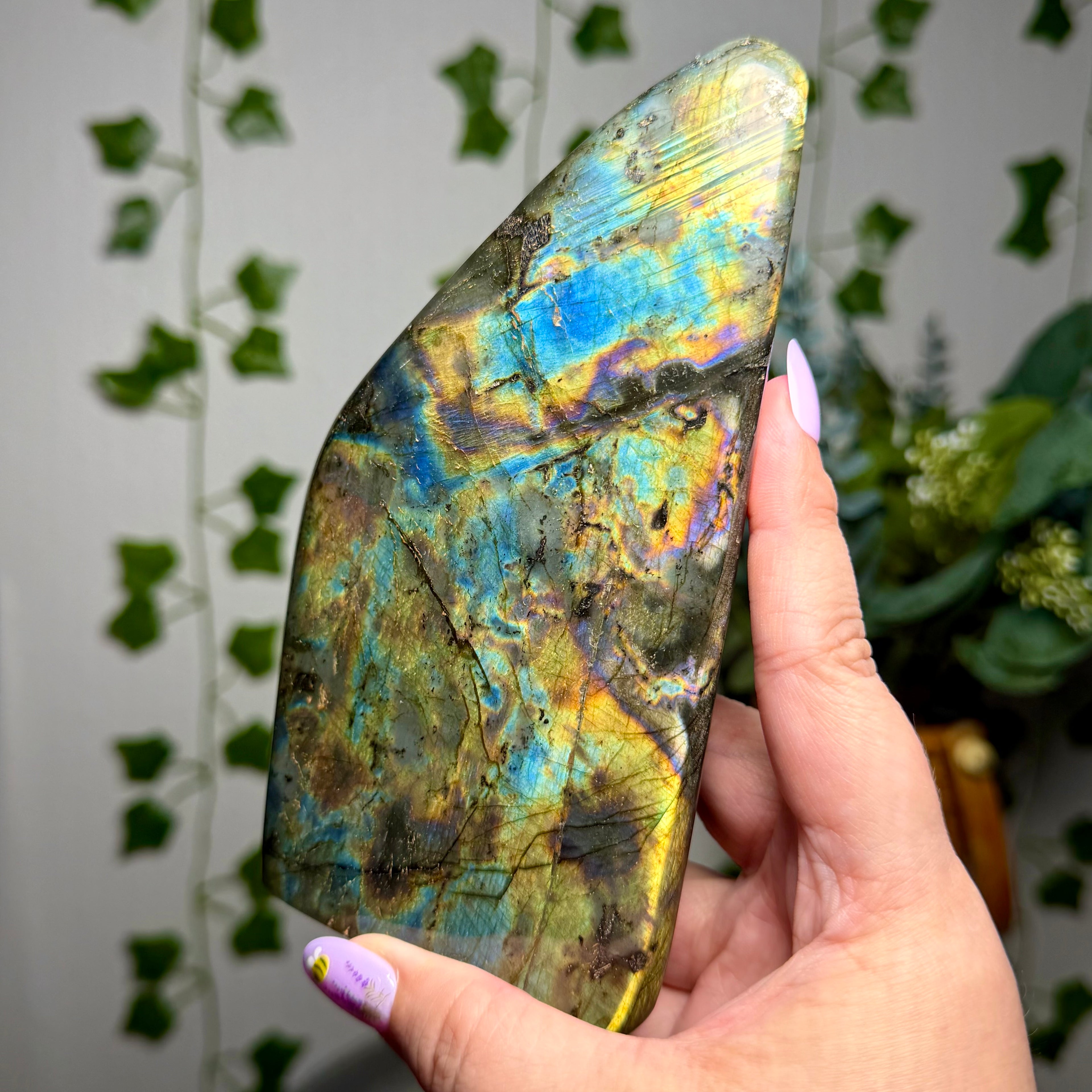 Large multi color Labradorite Freeform 70