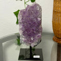 Amethyst Cluster on Stand