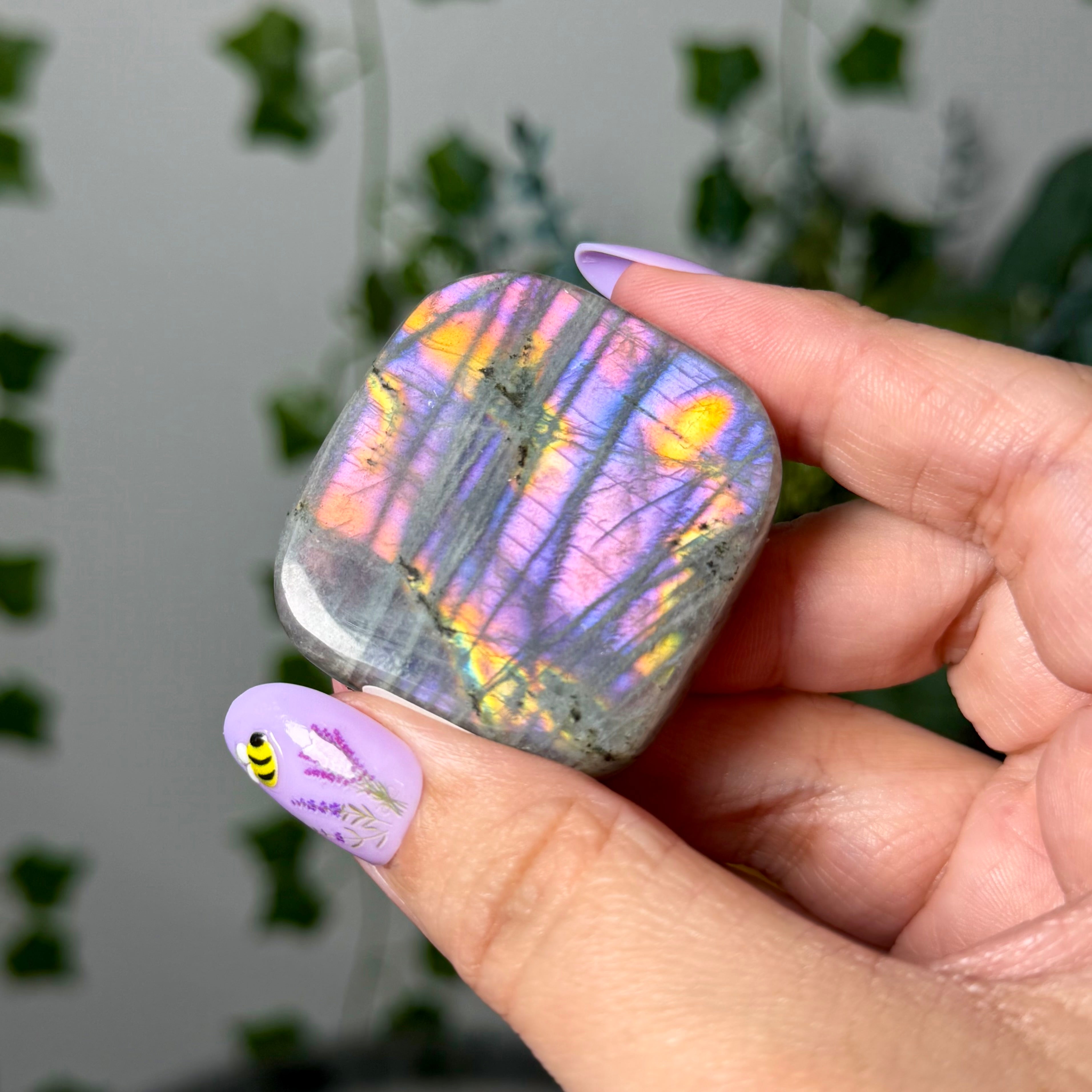 Multi Color Labradorite 10G