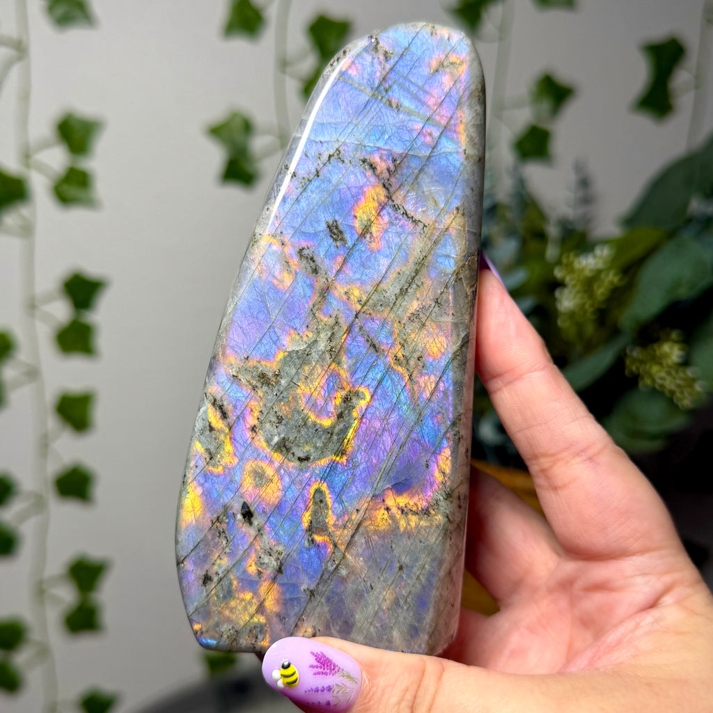 Purple Orange Labradorite Freeform 60C