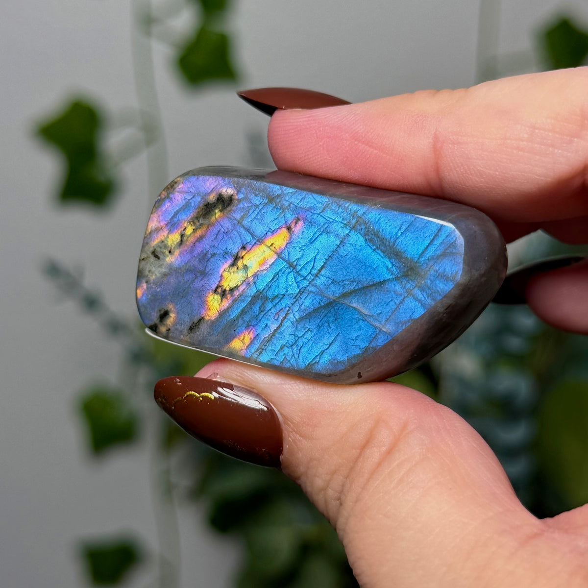 Blue Labradorite 6M