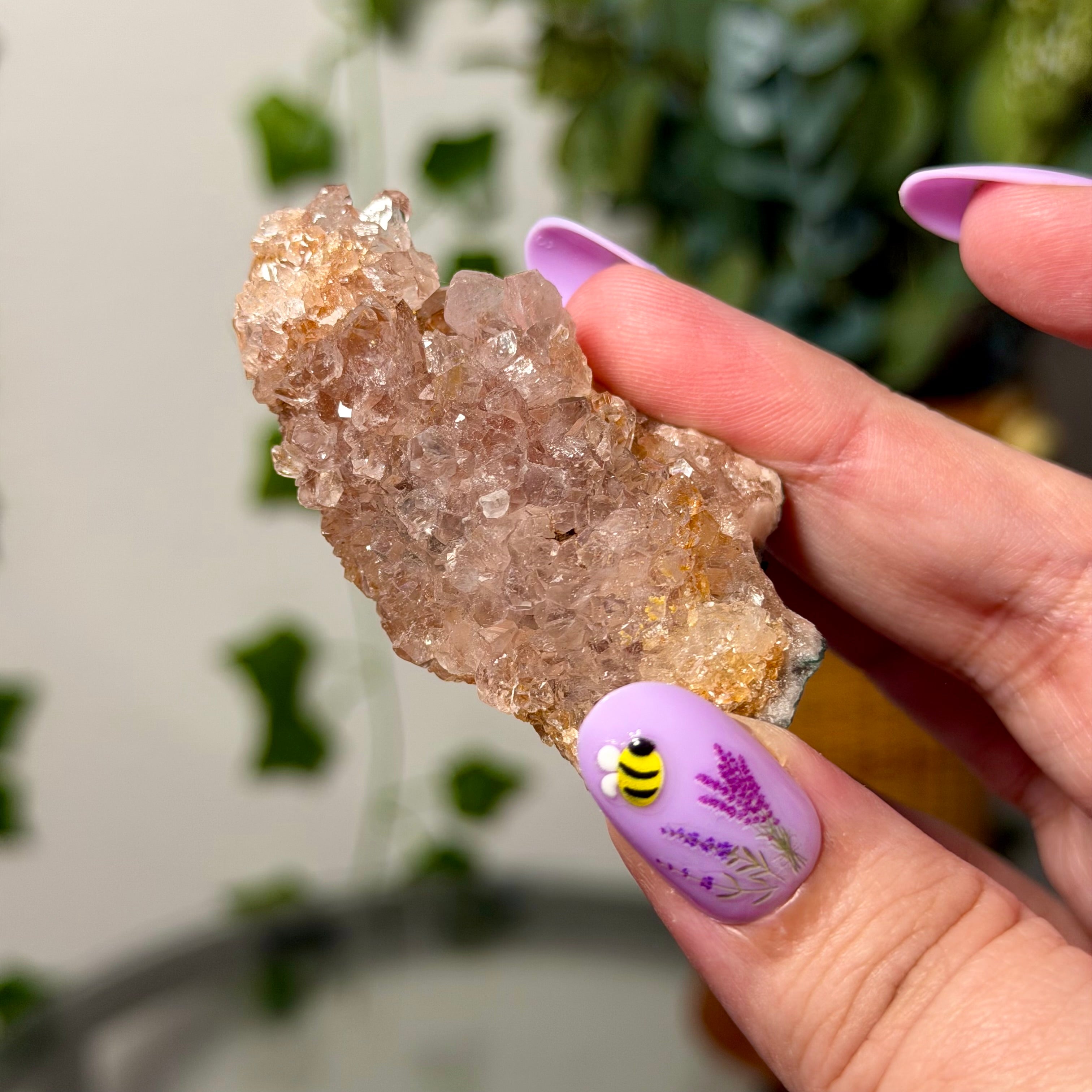 You Choose-Small Amethyst Clusters