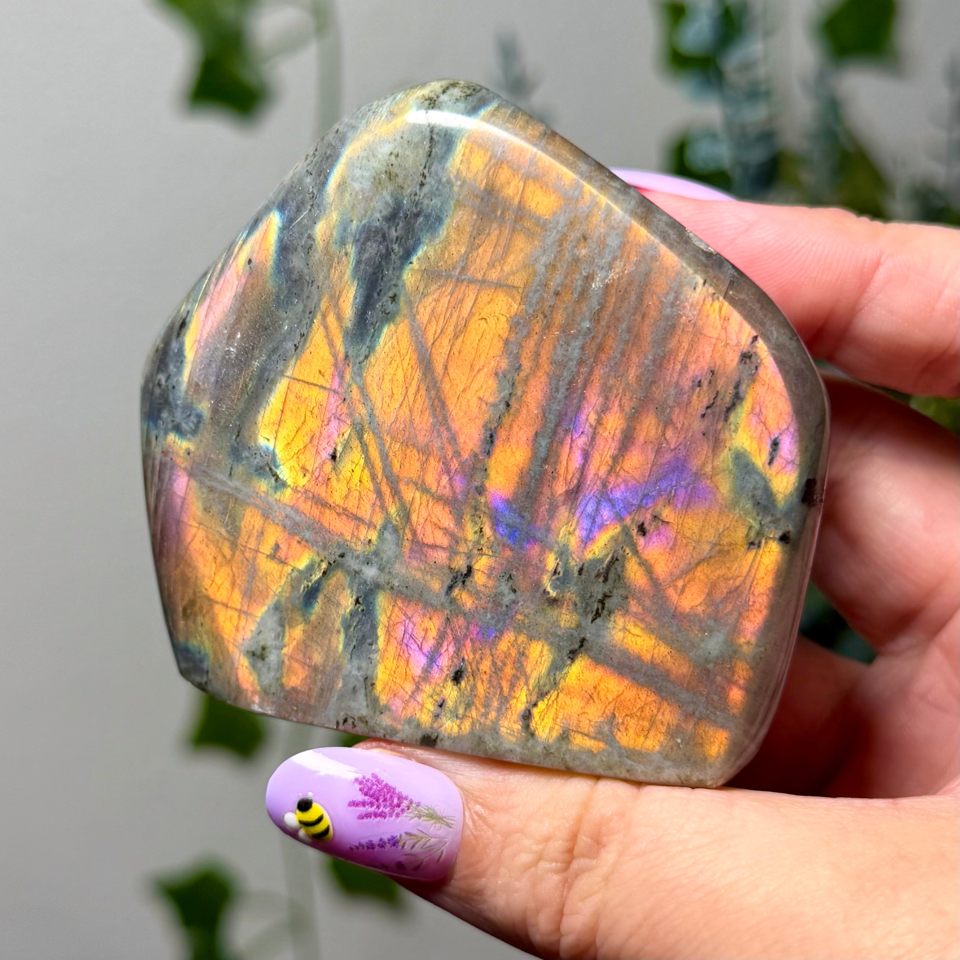 Orange Labradorite Freeform 49