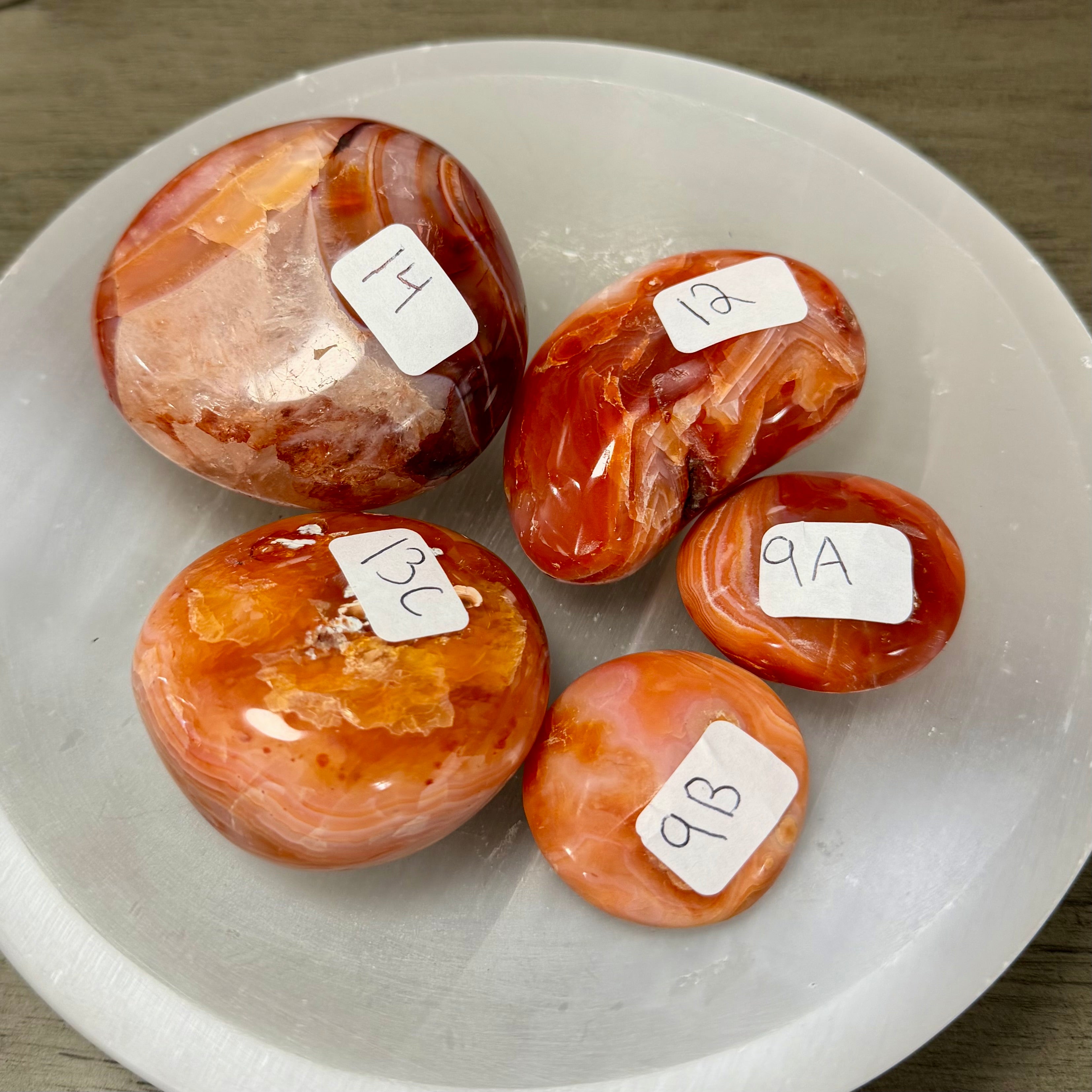 Carnelian Palms - You Choose!