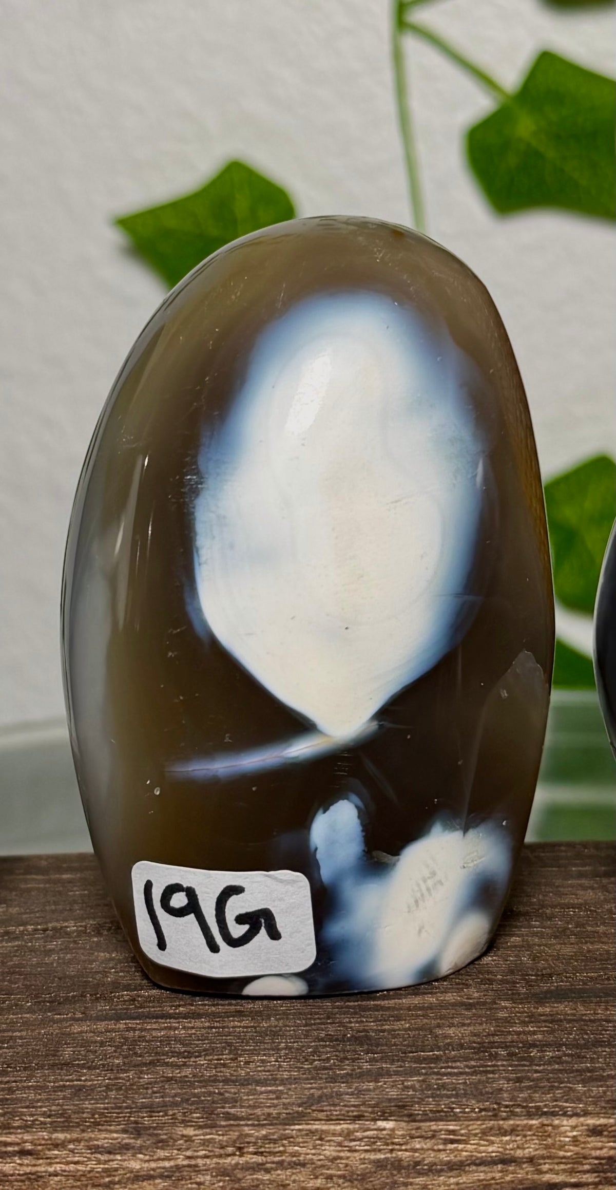 You Choose-Orca Agate Freeforms
