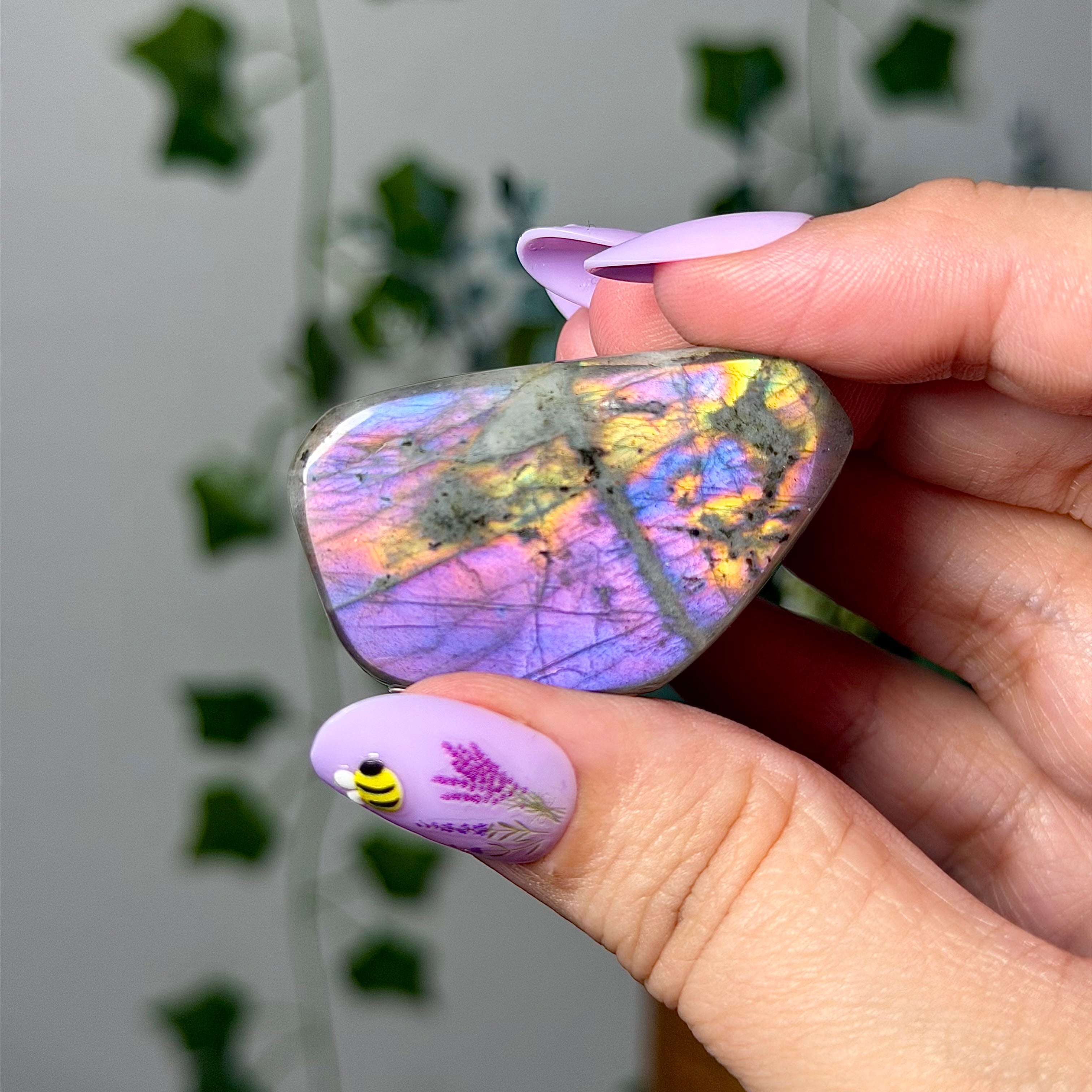 Purple Pink Labradorite 8H