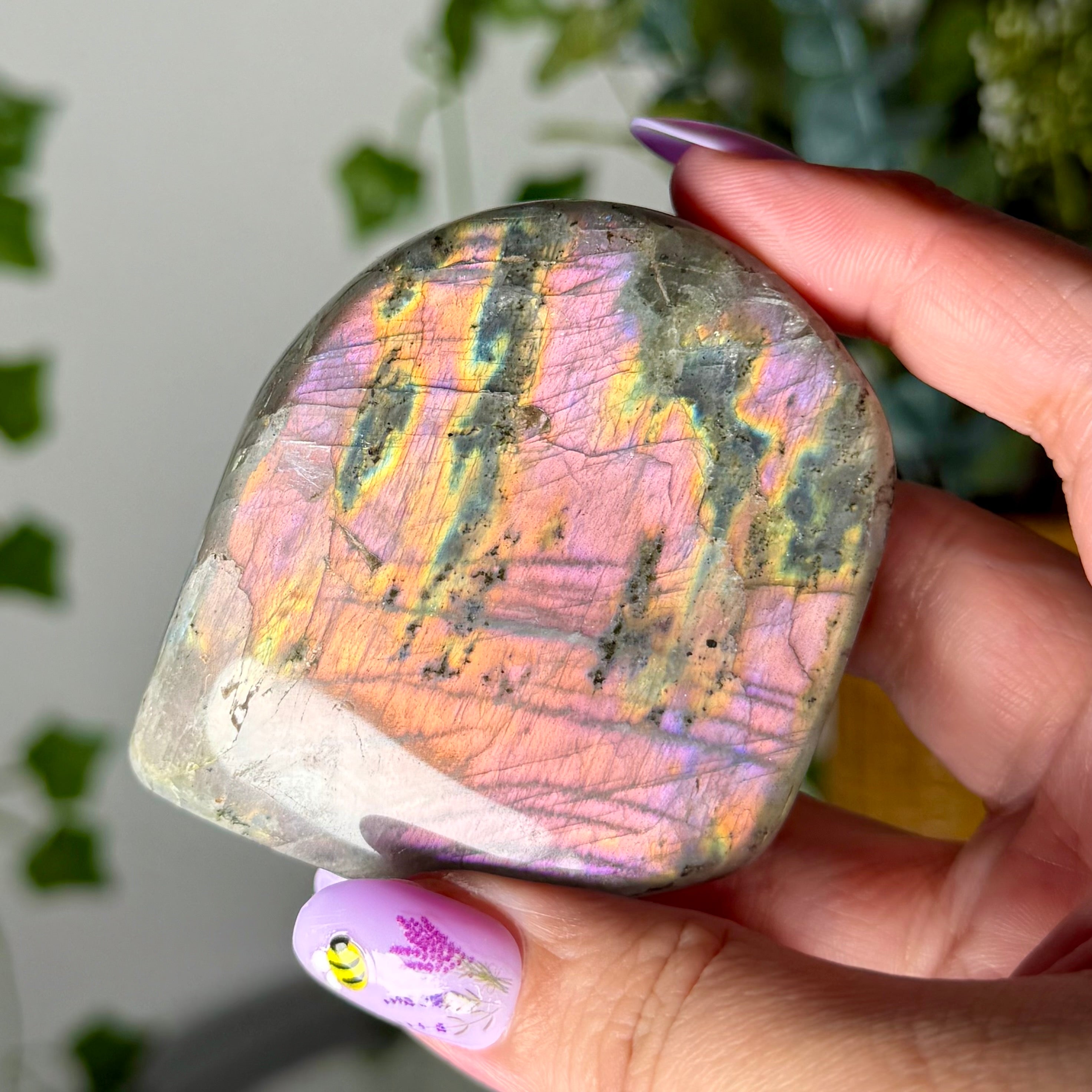 Orange Pink Labradorite Freeform 20