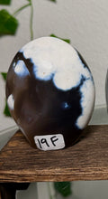 You Choose-Orca Agate Freeforms