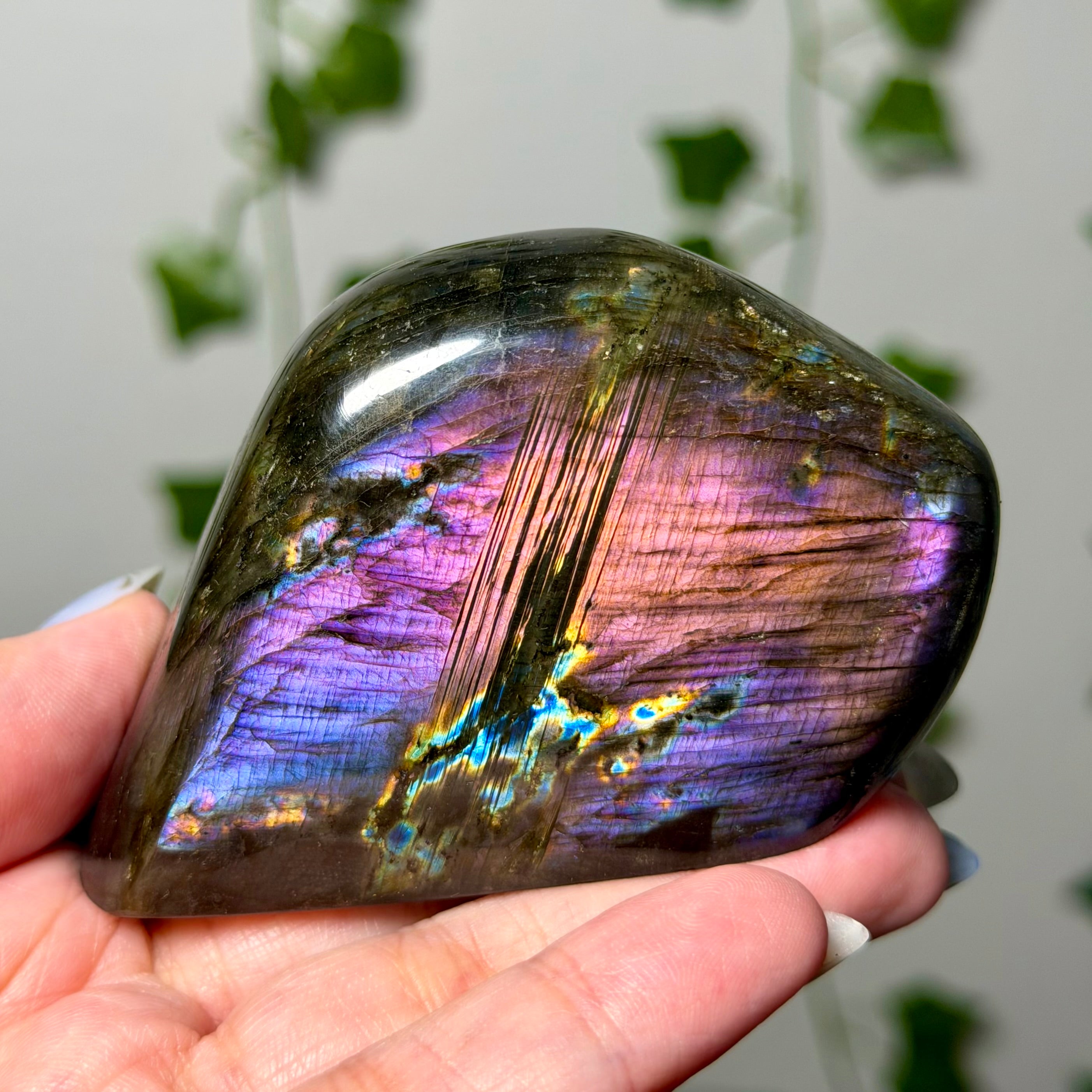 Labradorite Freeform 36