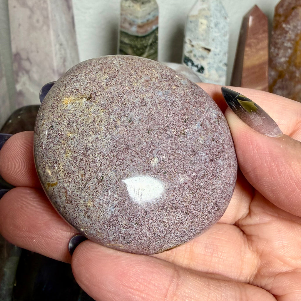 Ocean Jasper Palm 11A
