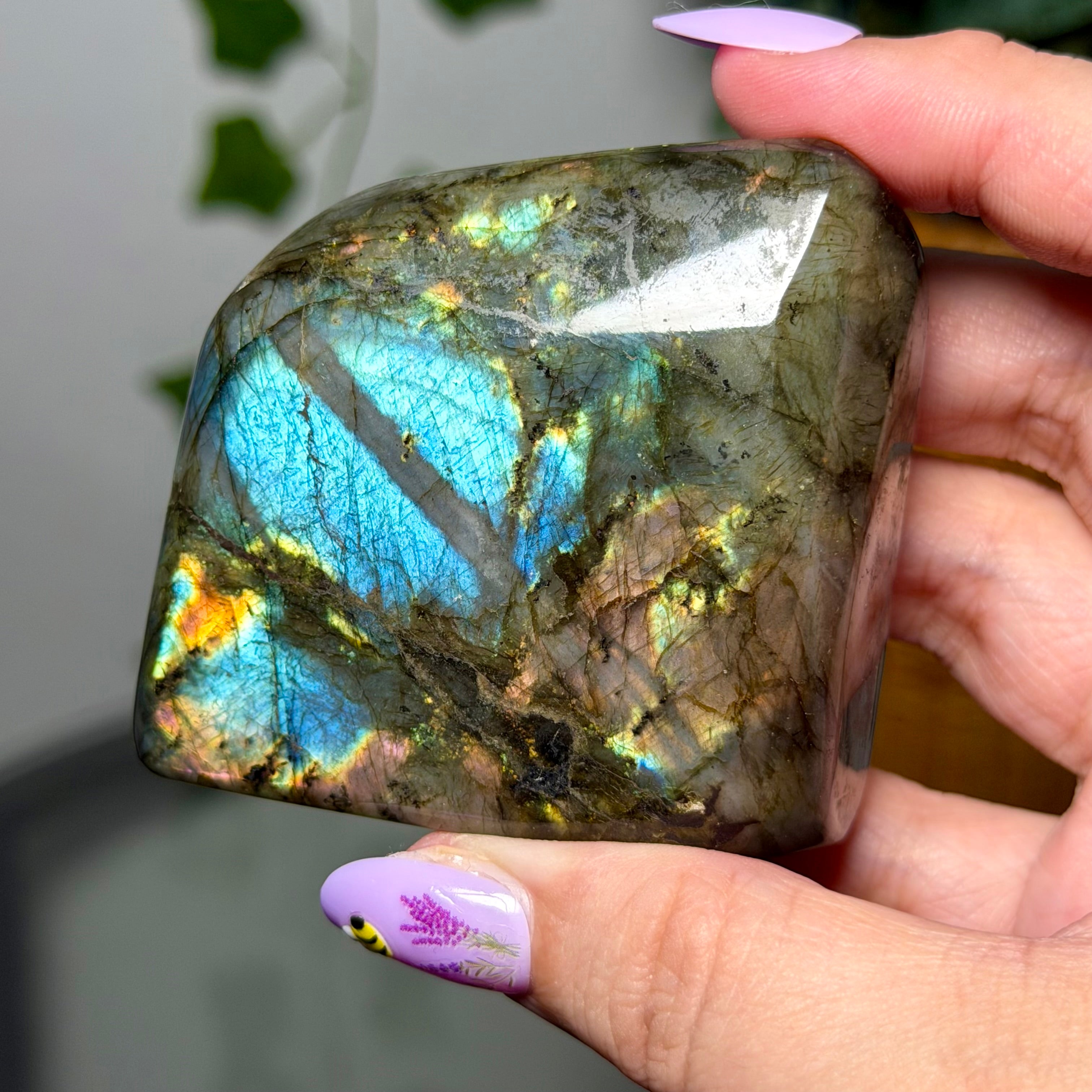 Aqua Multi Color Labradorite 35F