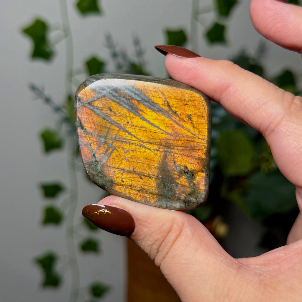 Golden Orange Labradorite 14M