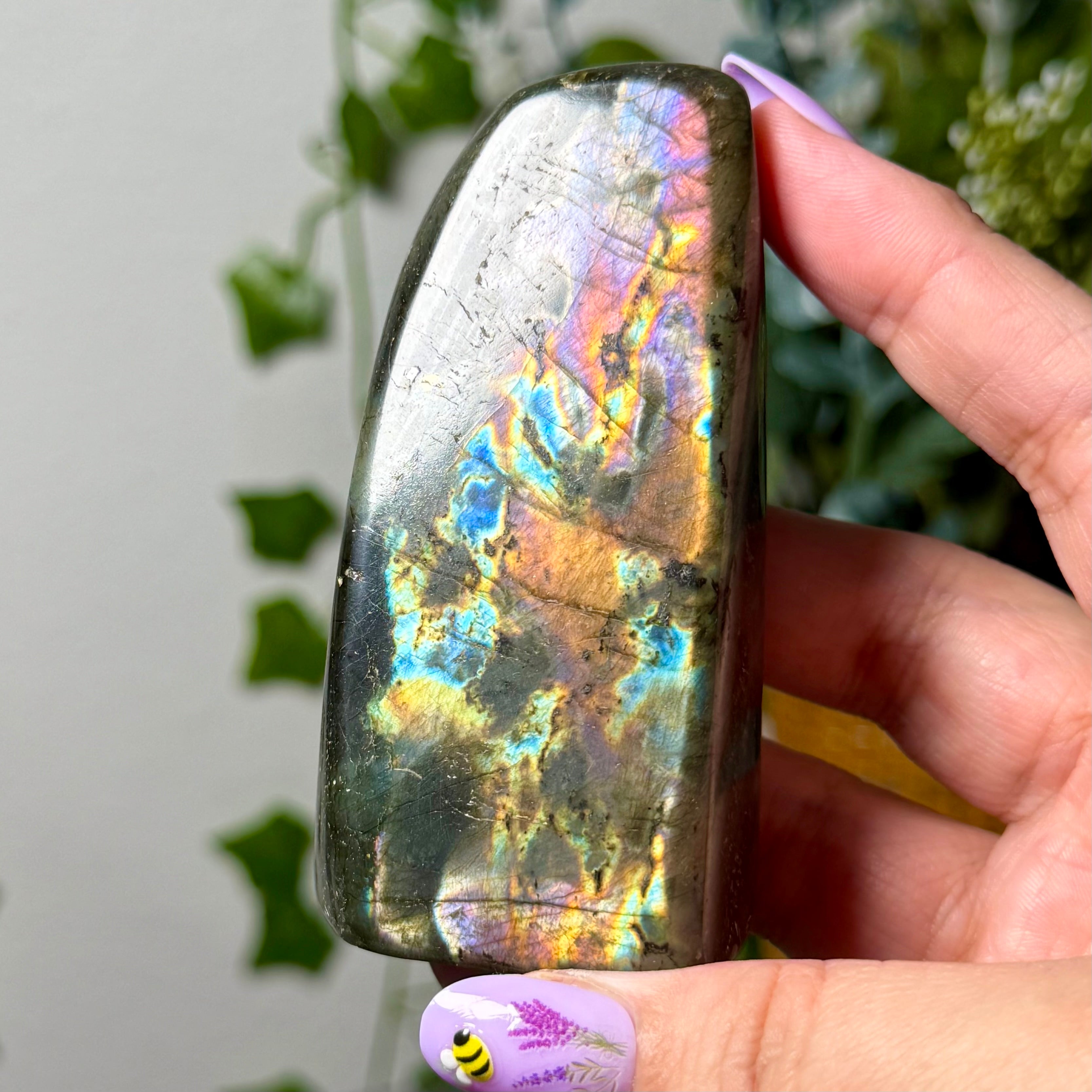 Multi Color Labradorite Freeform 23