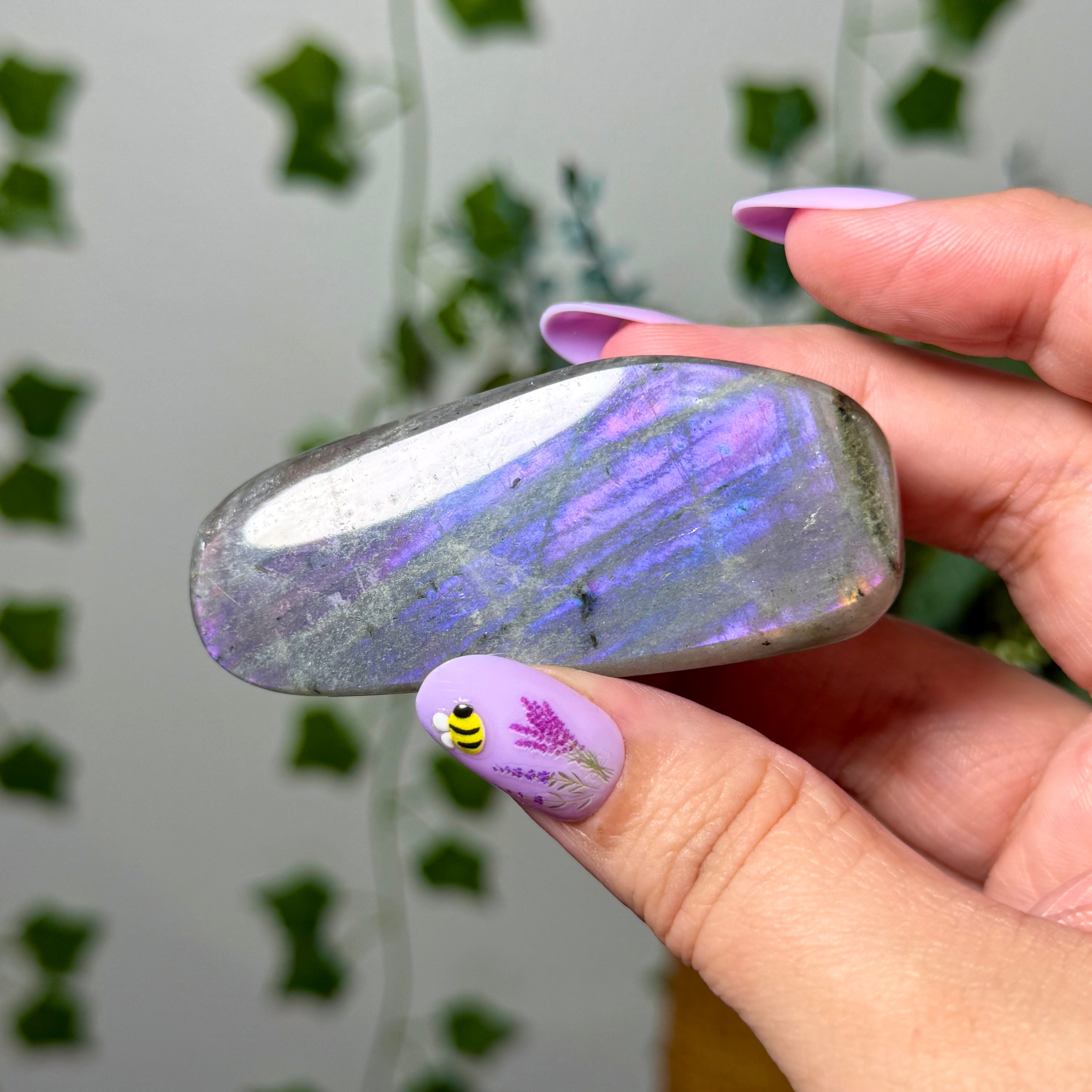 Purple Labradorite 12B