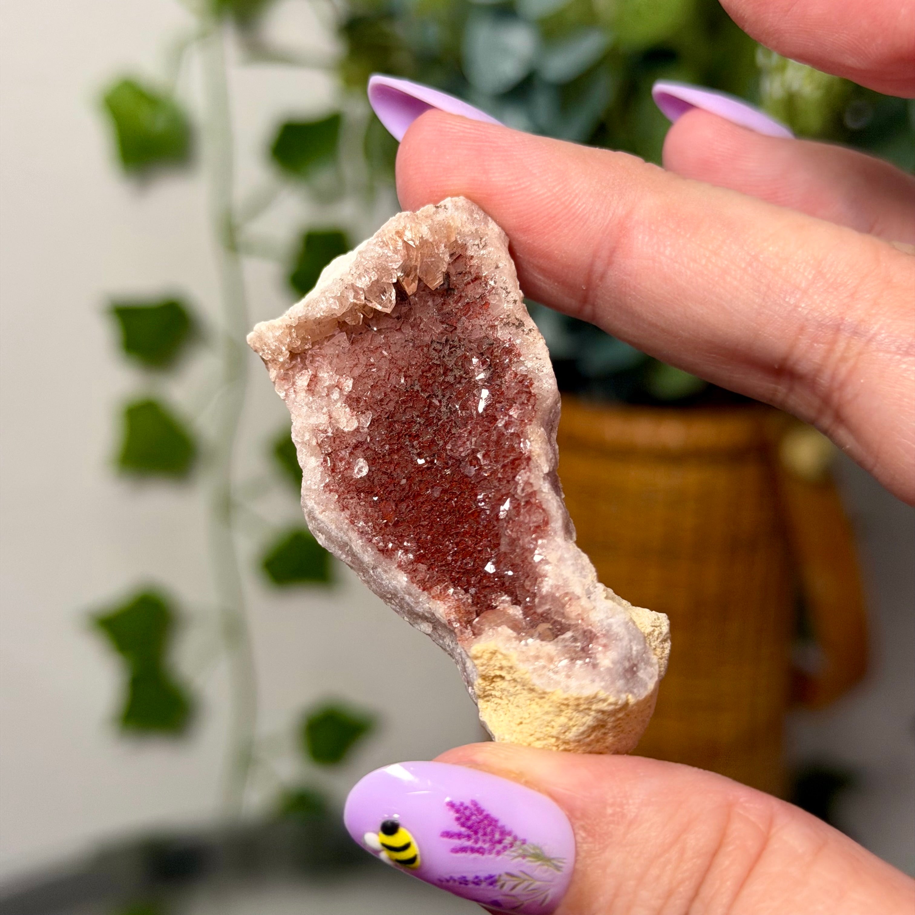 You Choose-Small Amethyst Clusters