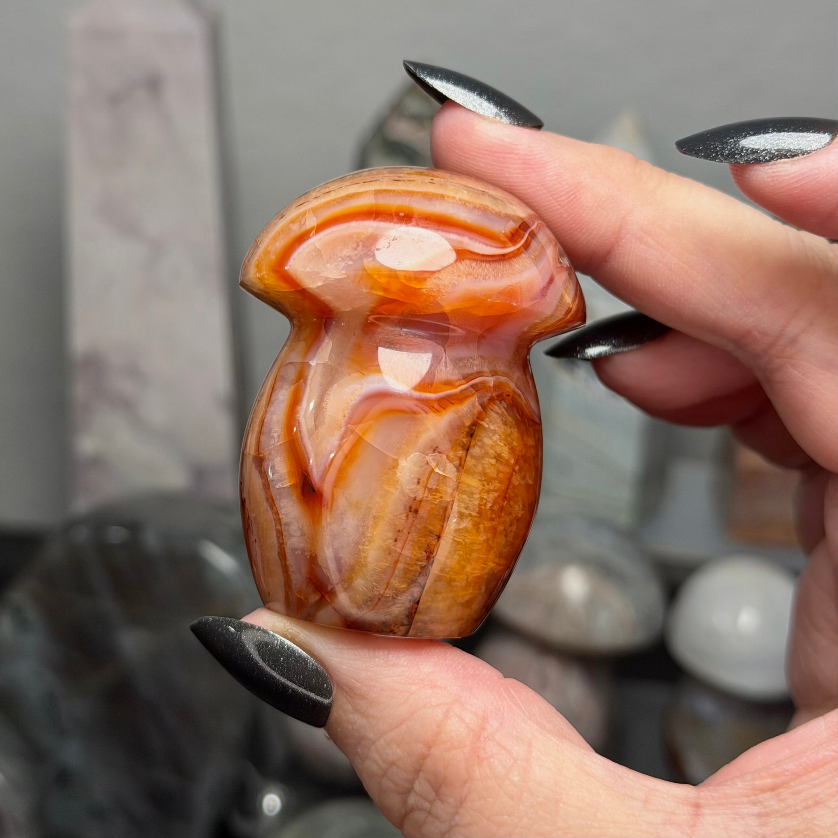 Carnelian Mushroom