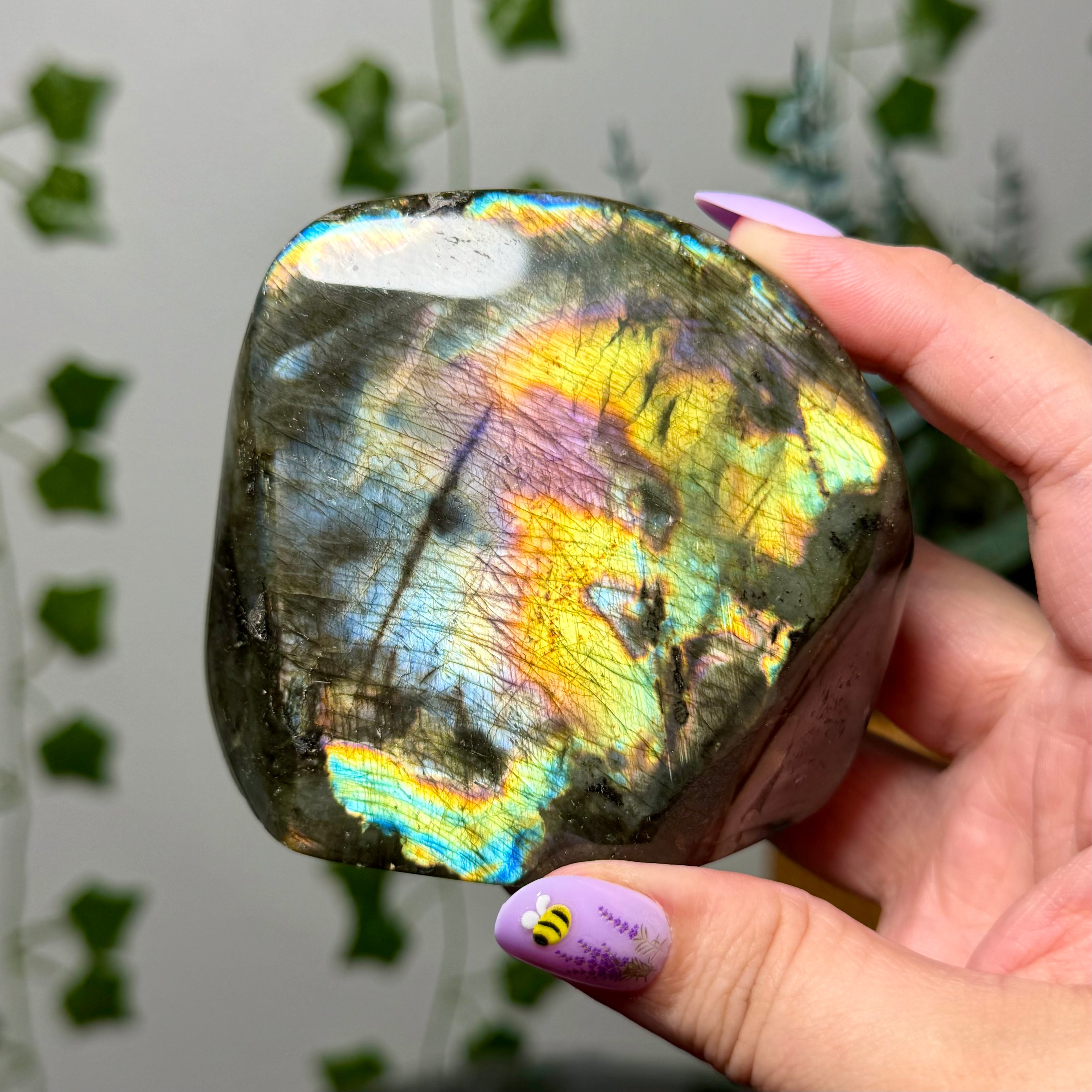Yellow multi color Labradorite Freeform 52