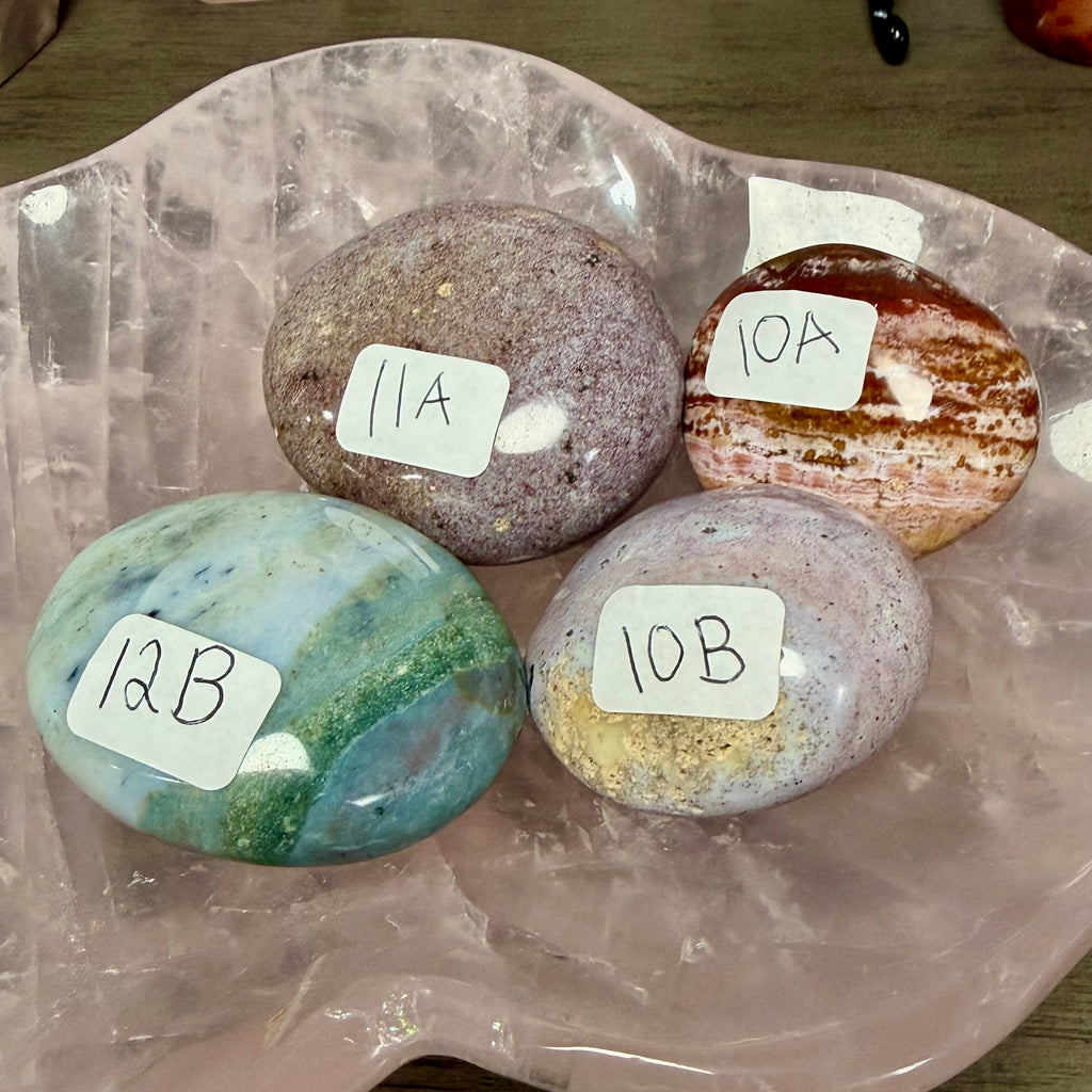 Ocean Jasper Palm 10A